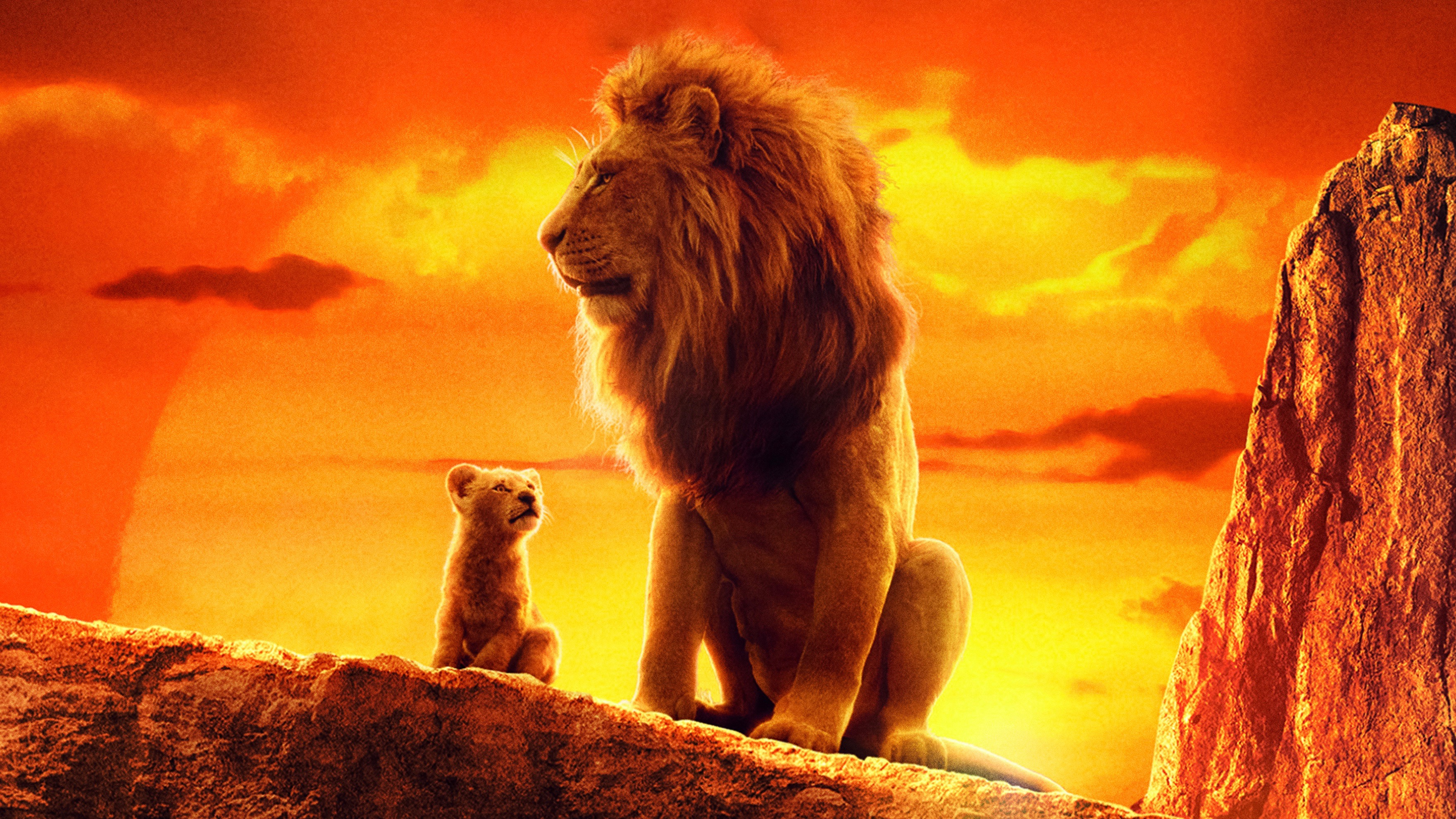 Lion King Wallpapers