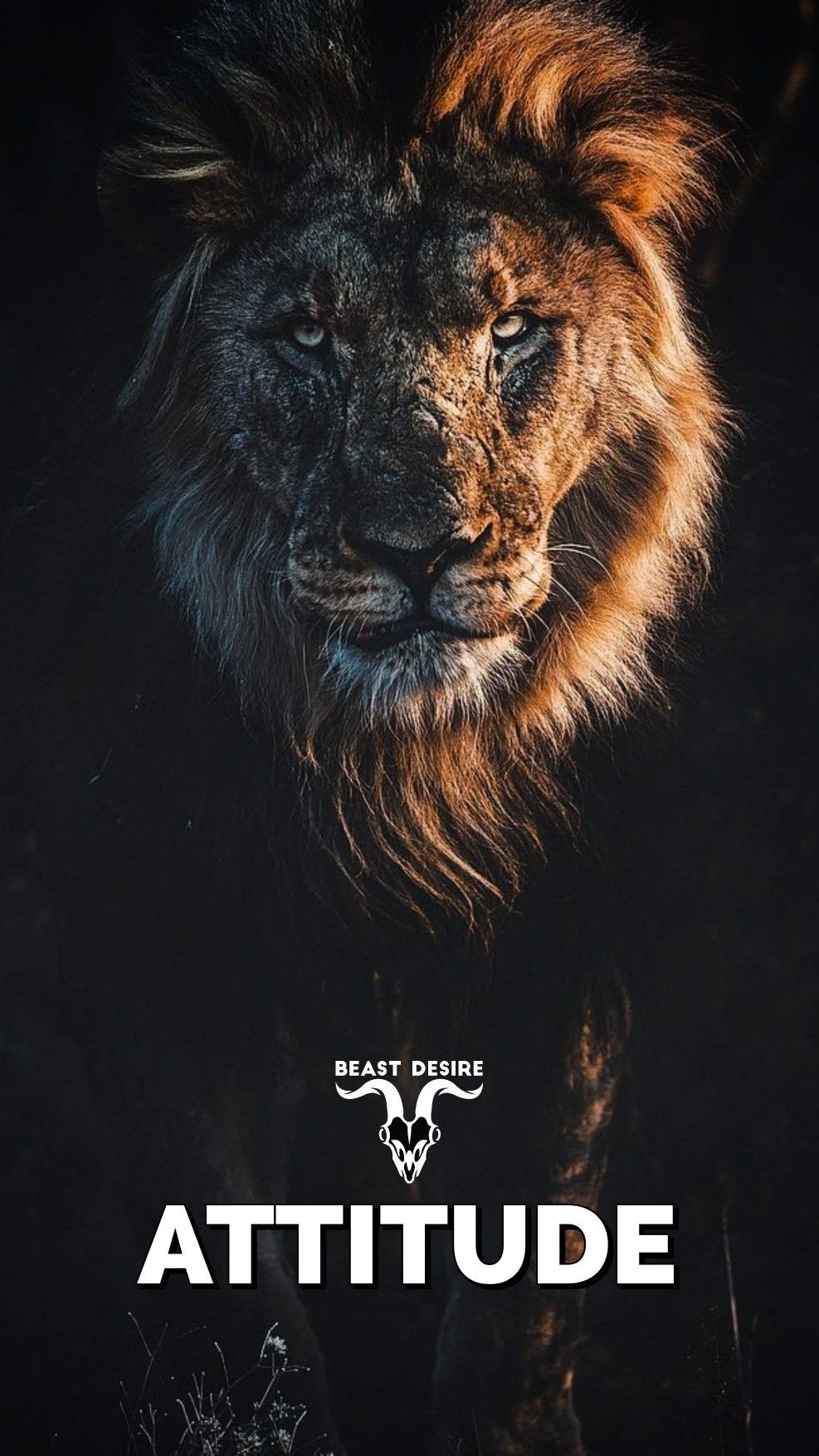 Lion Mentality Wallpapers