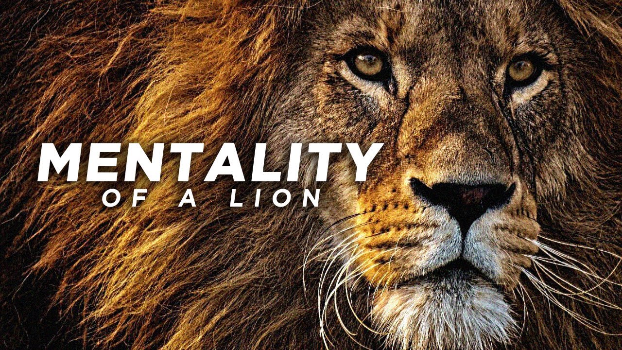 Lion Mentality Wallpapers