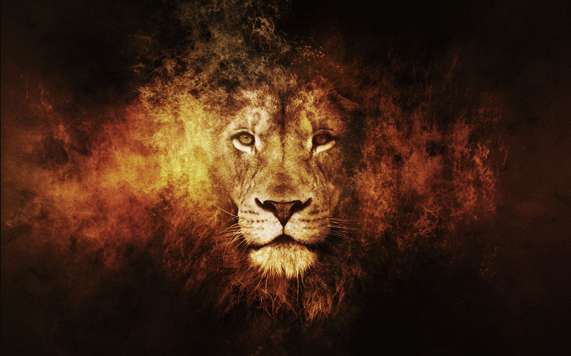 Lion Of Judah Wallpapers