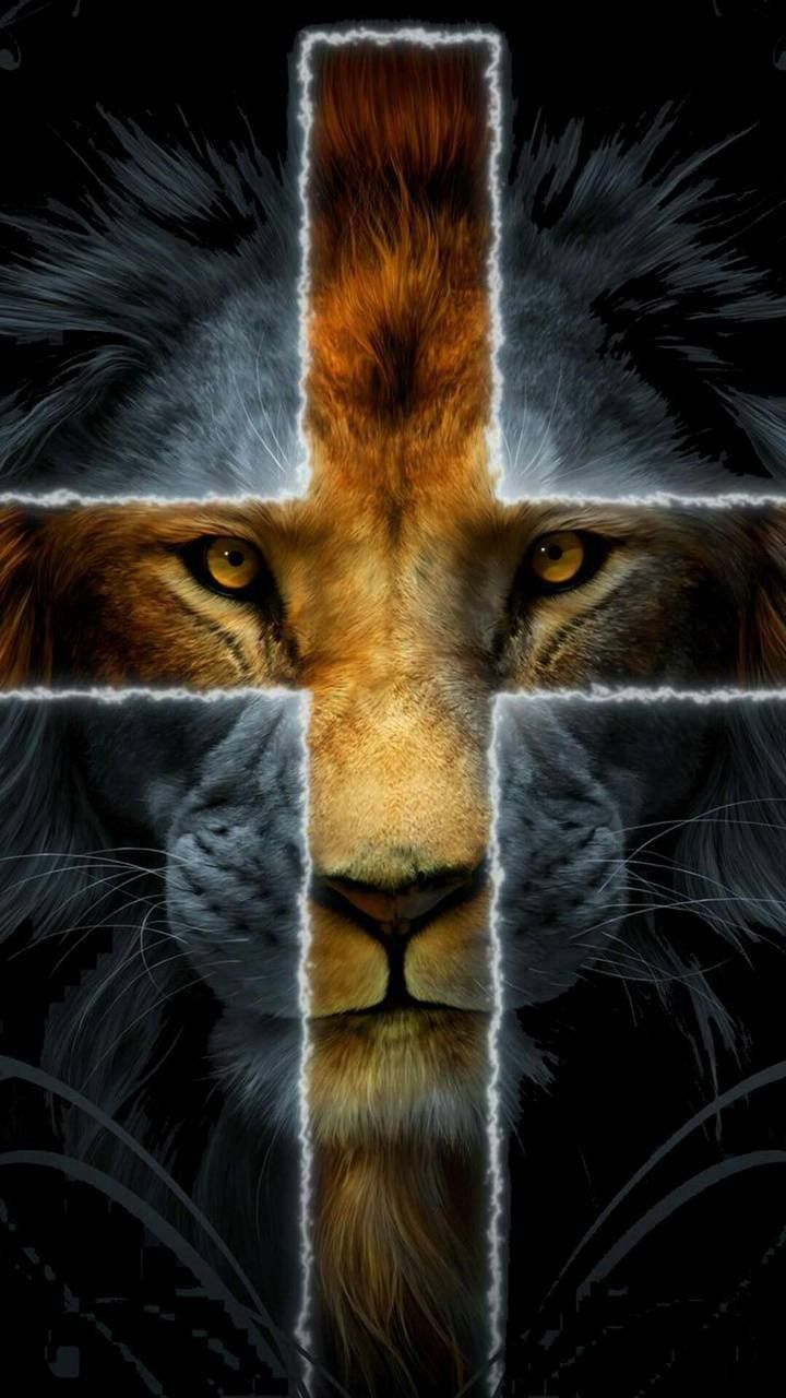 Lion Of Judah Wallpapers