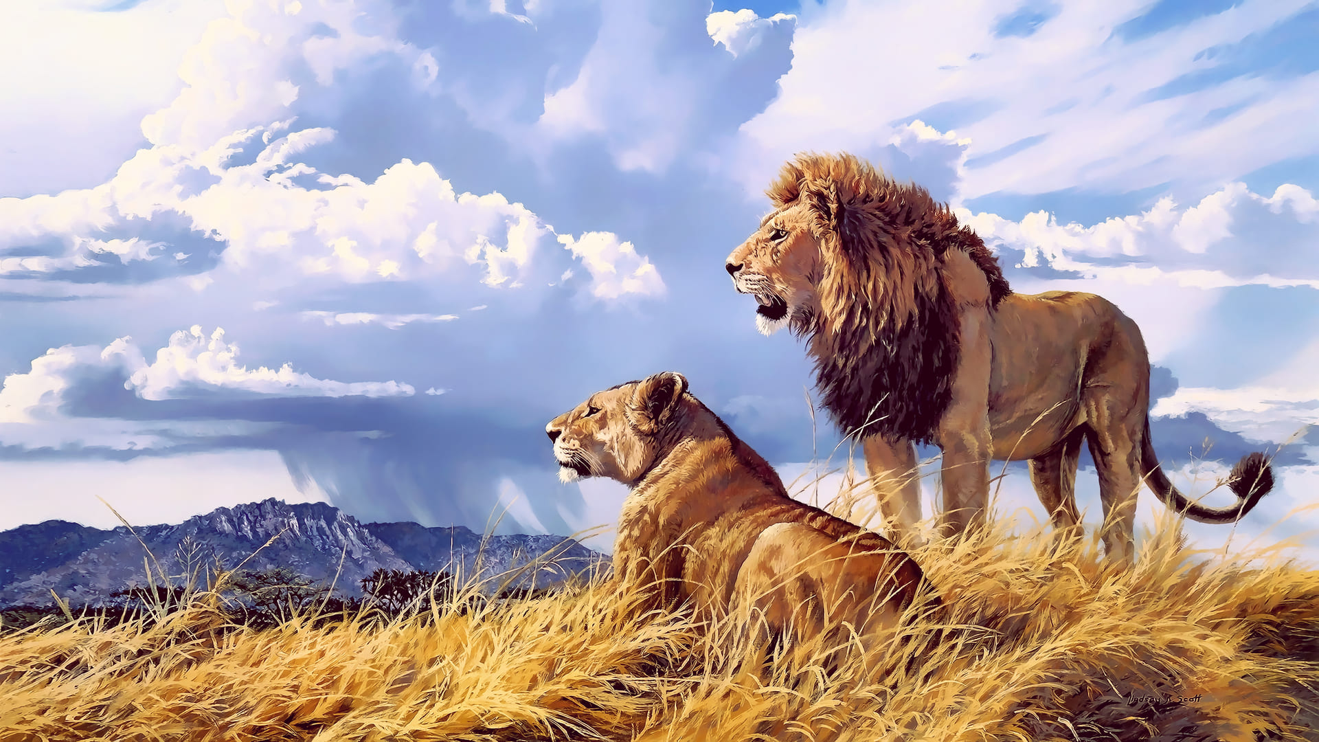 Lion Pc Wallpapers