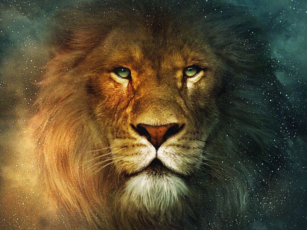 Lion Pc Wallpapers