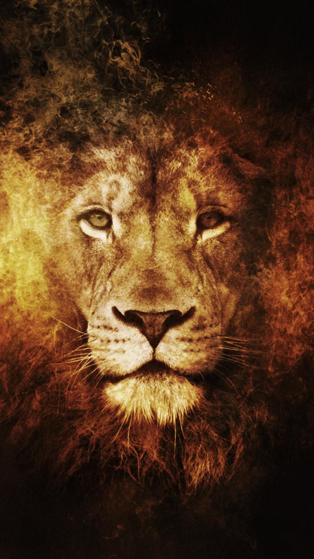 Lion Phone Background