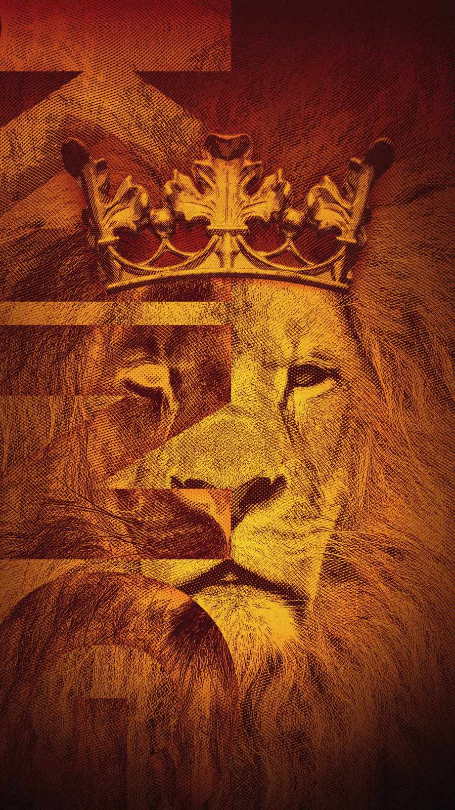 Lion Phone Background