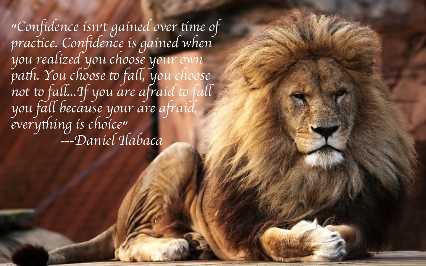 Lion Quotes Wallpapers