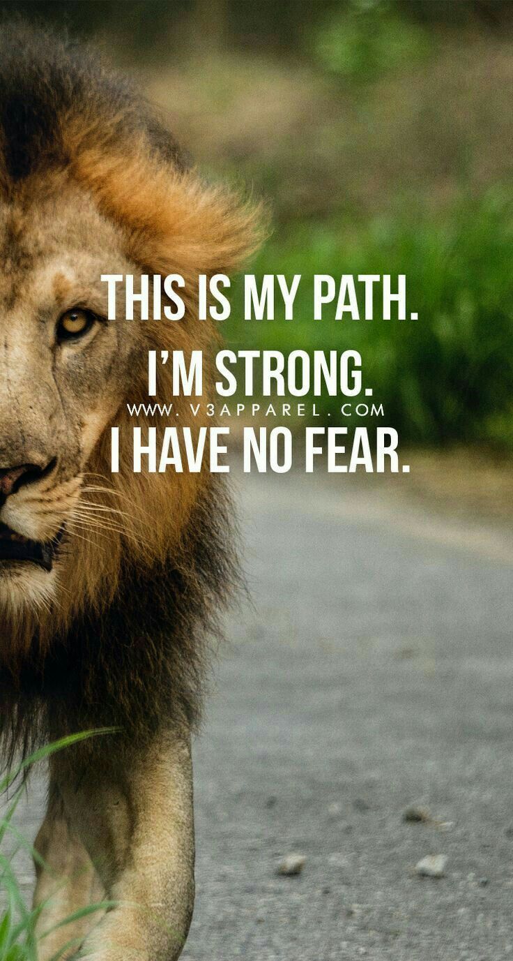 Lion Quotes Wallpapers