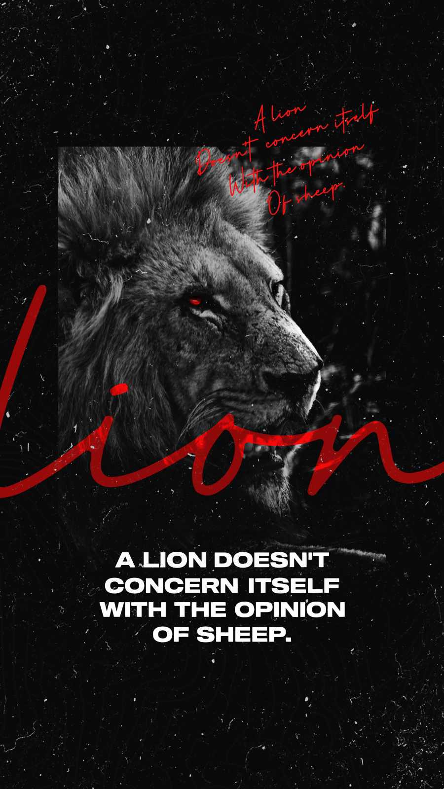 Lion Quotes Wallpapers