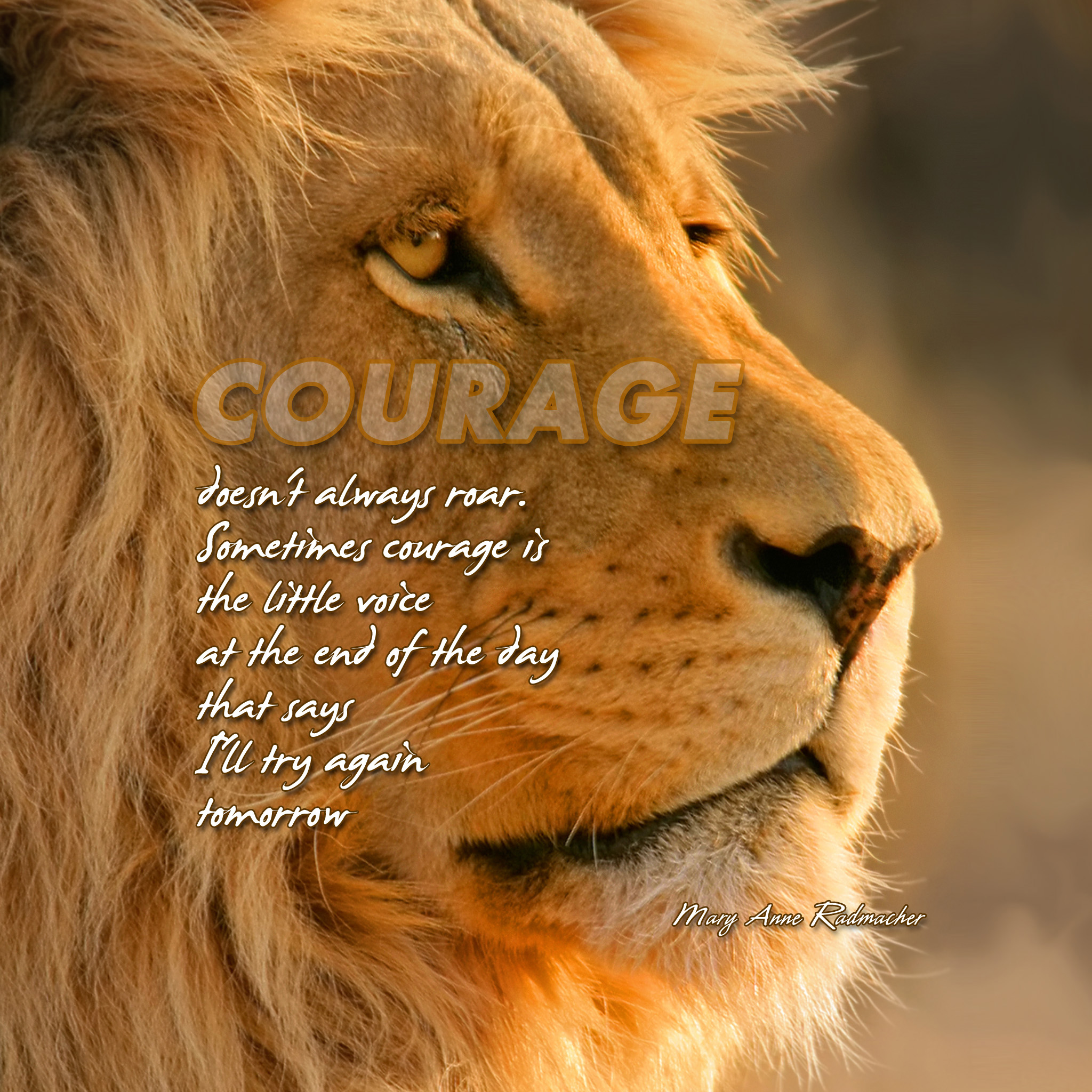 Lion Quotes Wallpapers