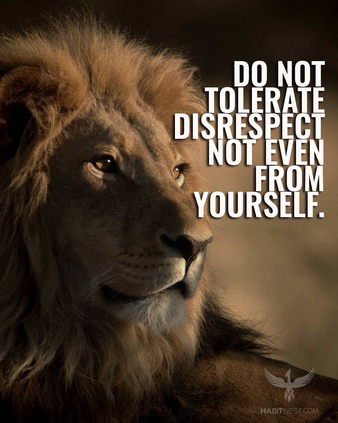 Lion Quotes Wallpapers