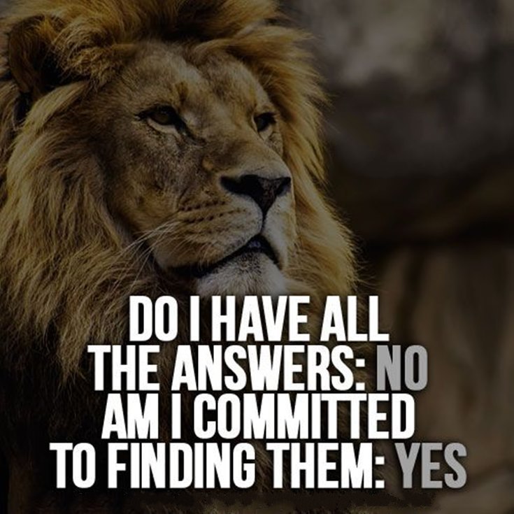 Lion Quotes Wallpapers