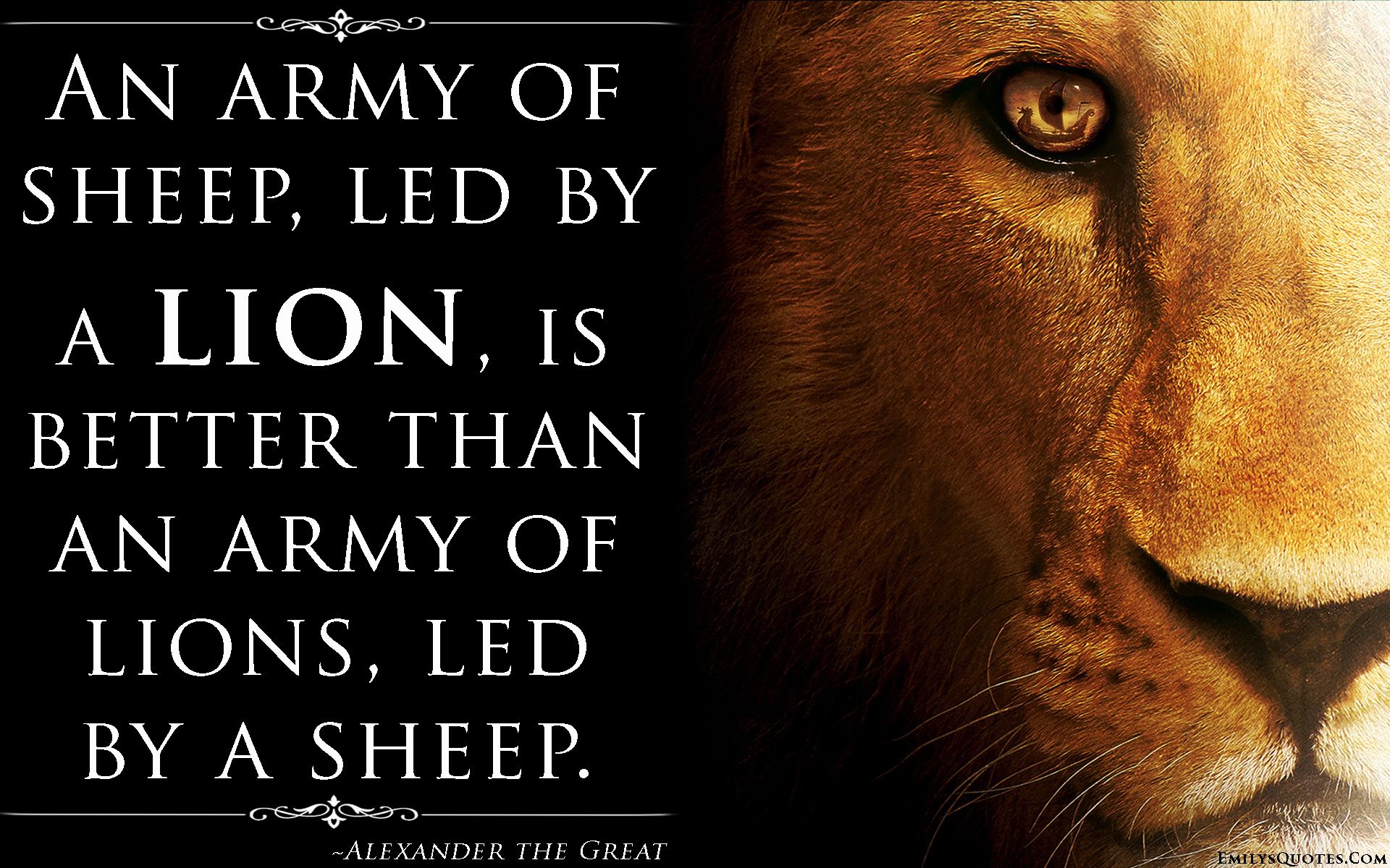 Lion Quotes Wallpapers