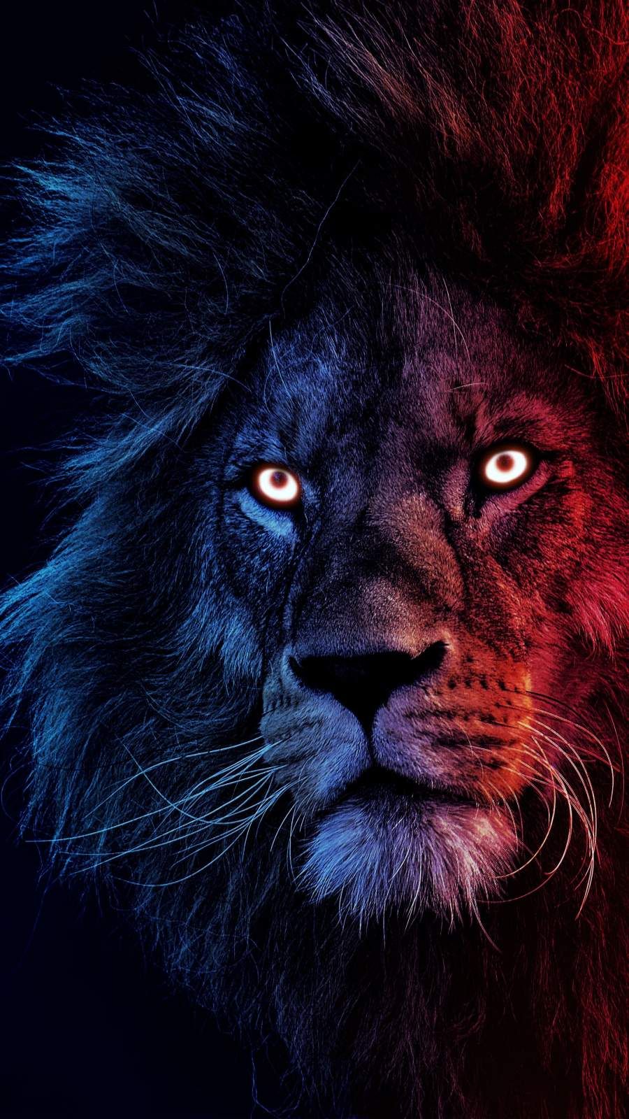 Lion Wall Paper Wallpapers