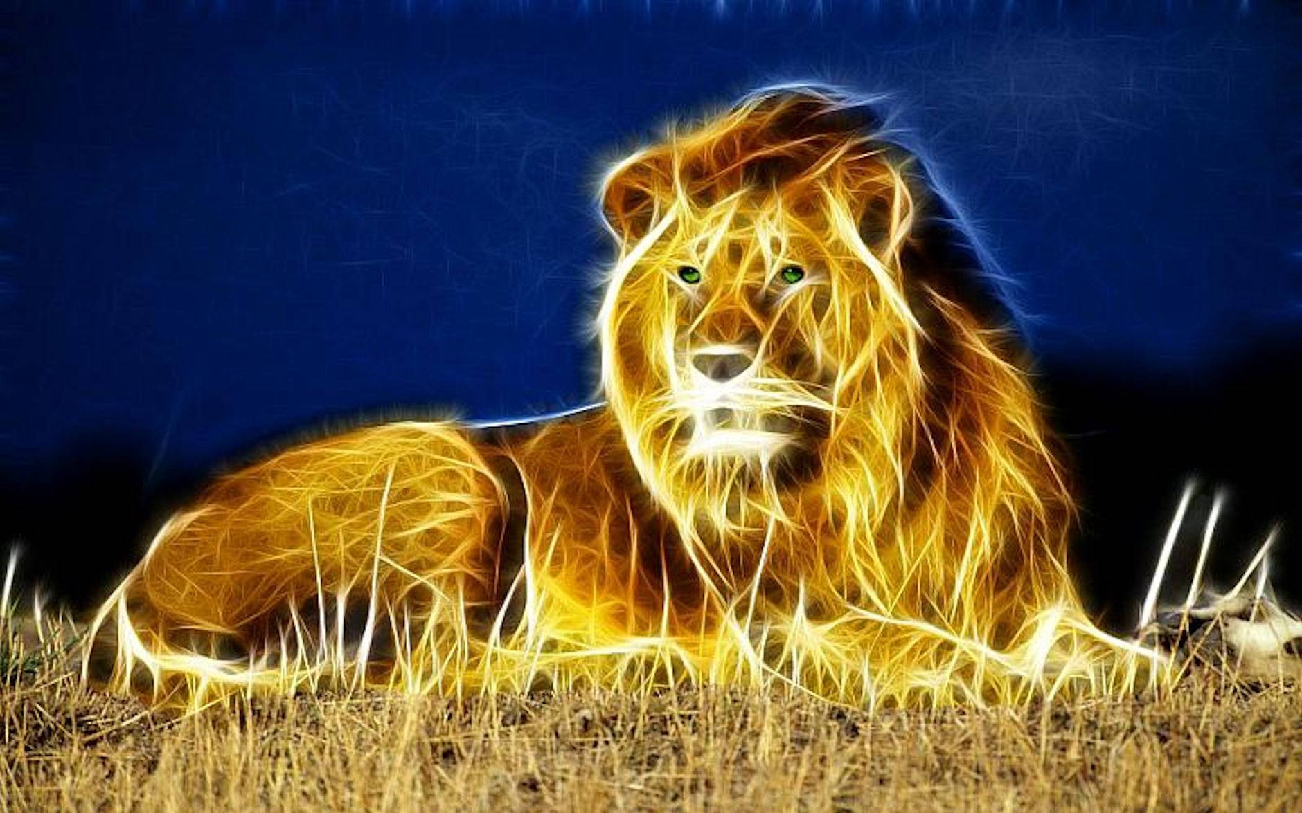 Lion Wallpapers