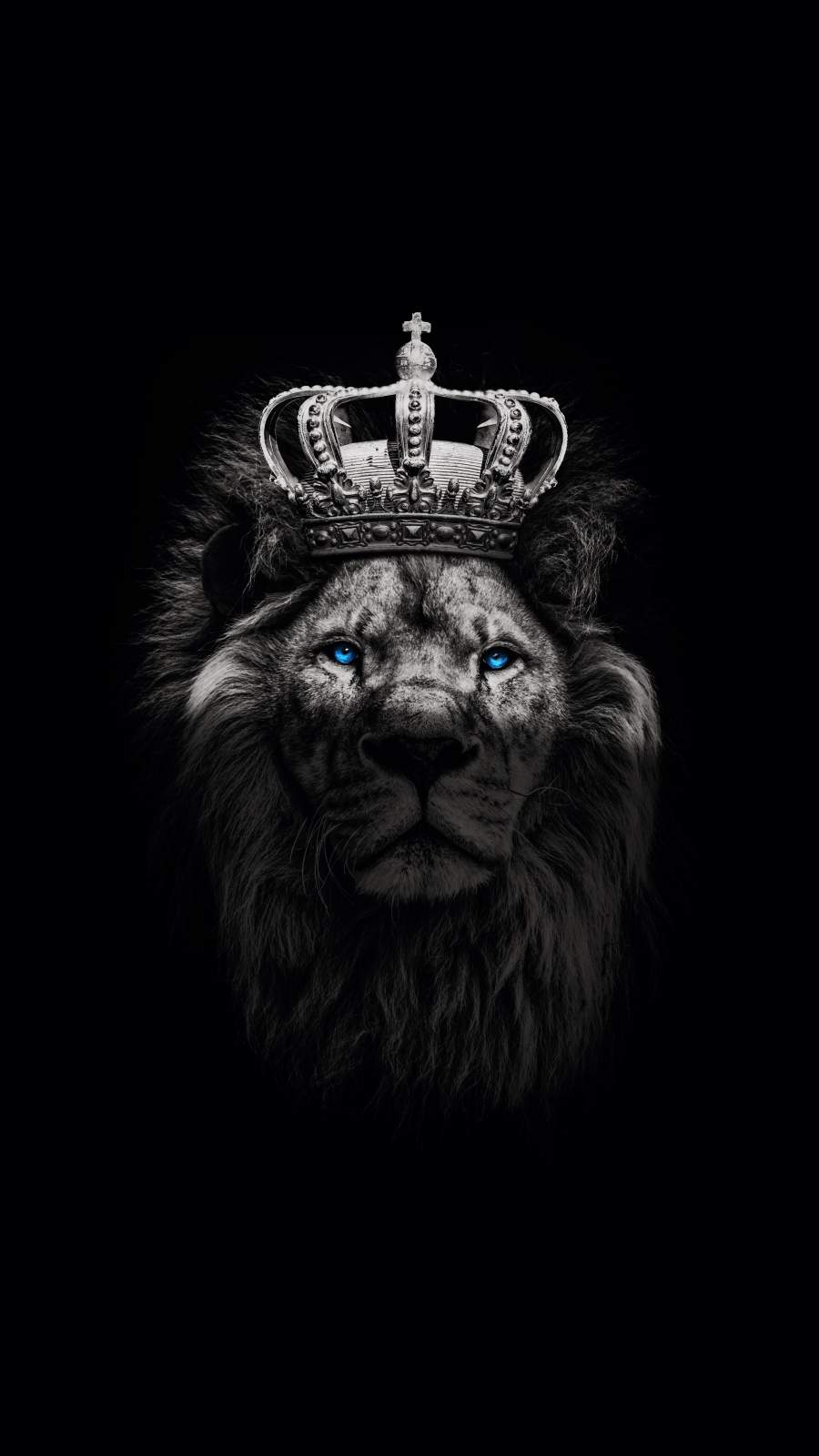 Lion With Crown Wallpapers