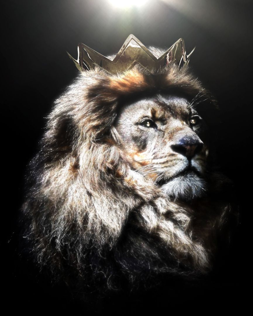 Lion With Crown Wallpapers