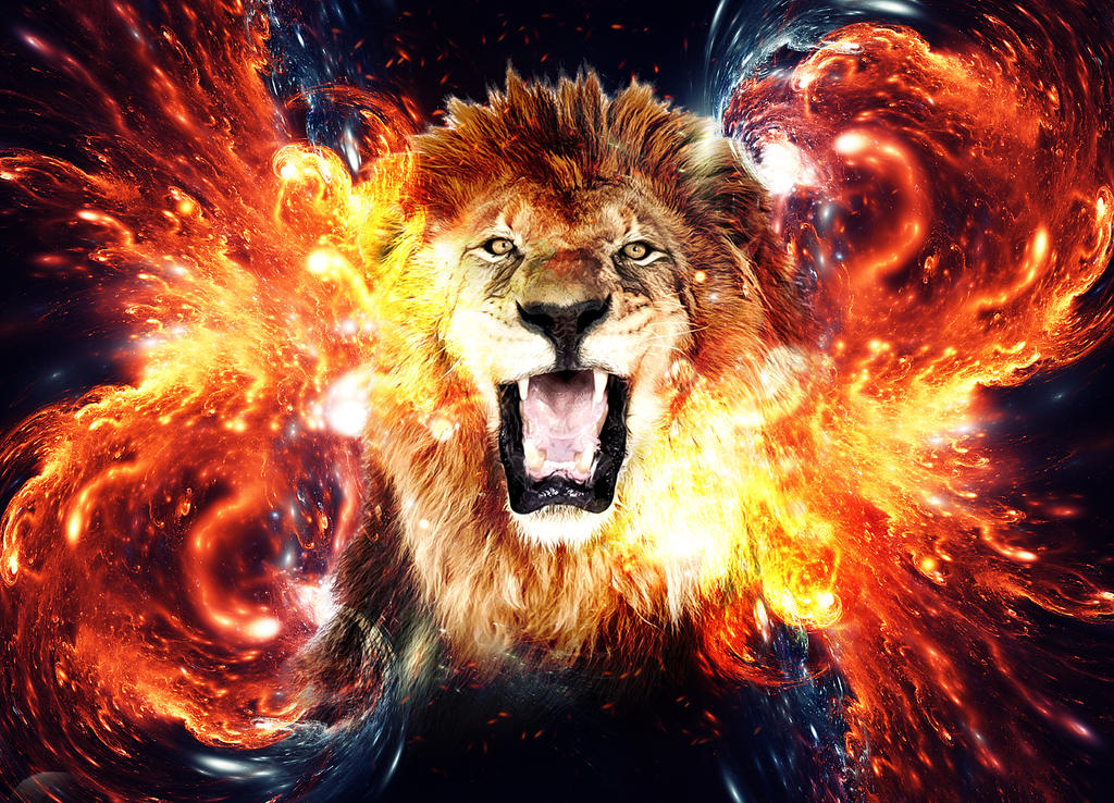 Lions Head Wallpapers