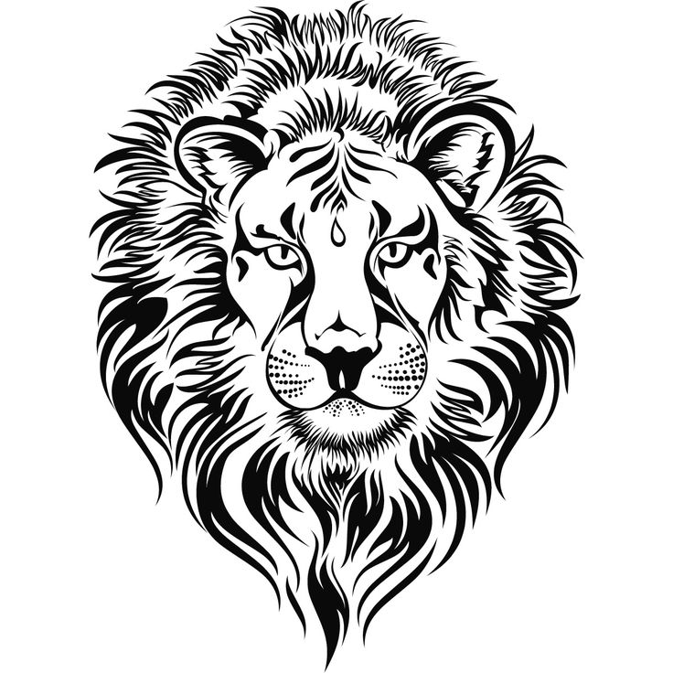 Lions Head Wallpapers