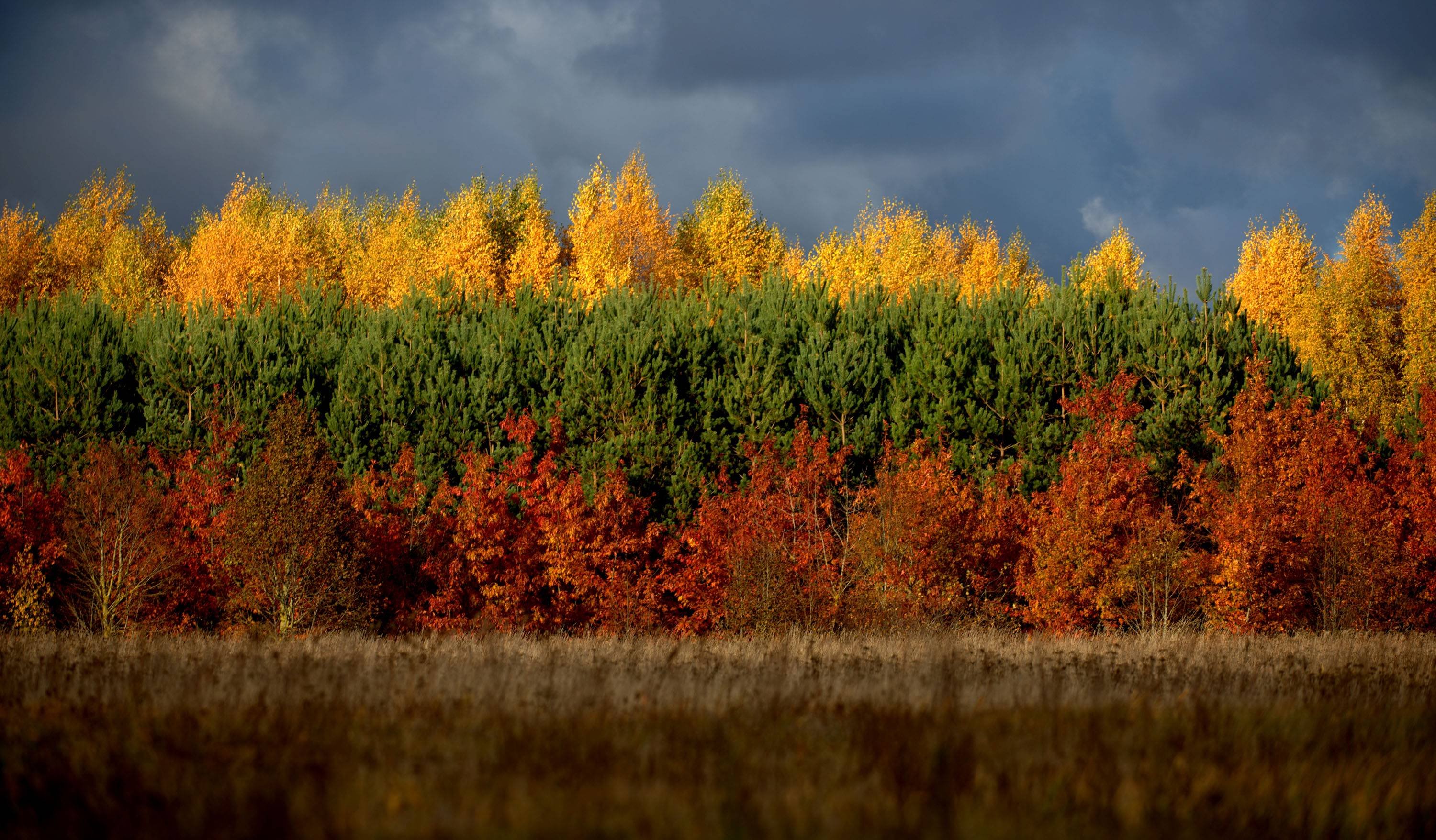 Lithuania Wallpapers