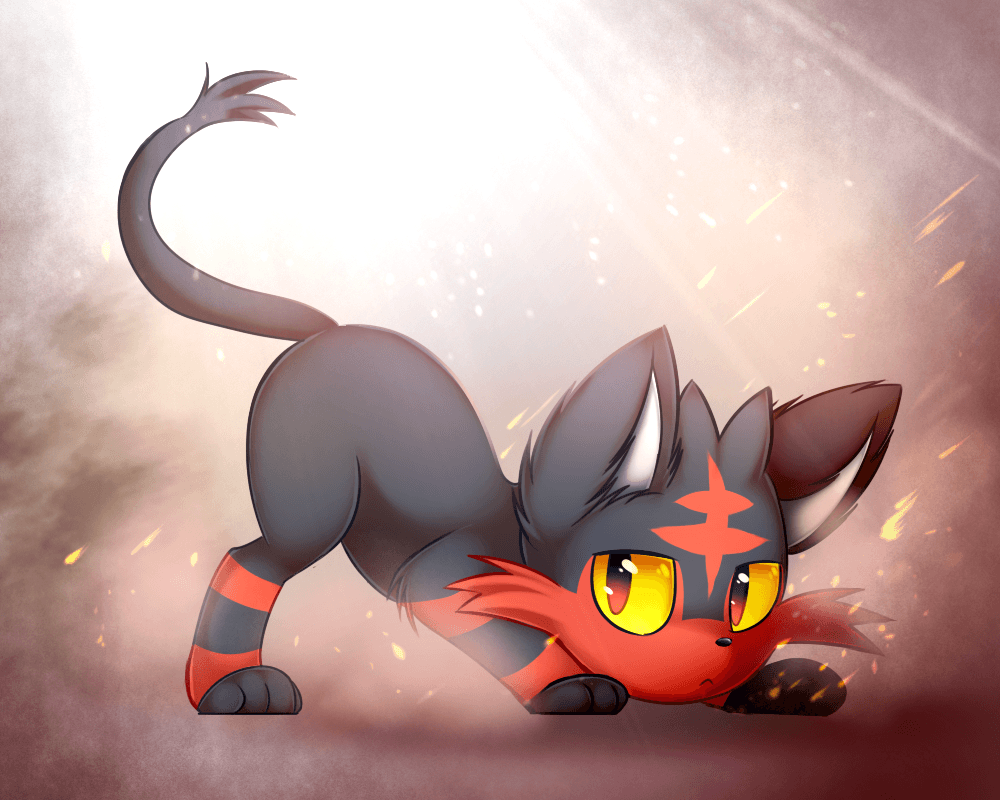 Litten Hd Wallpapers