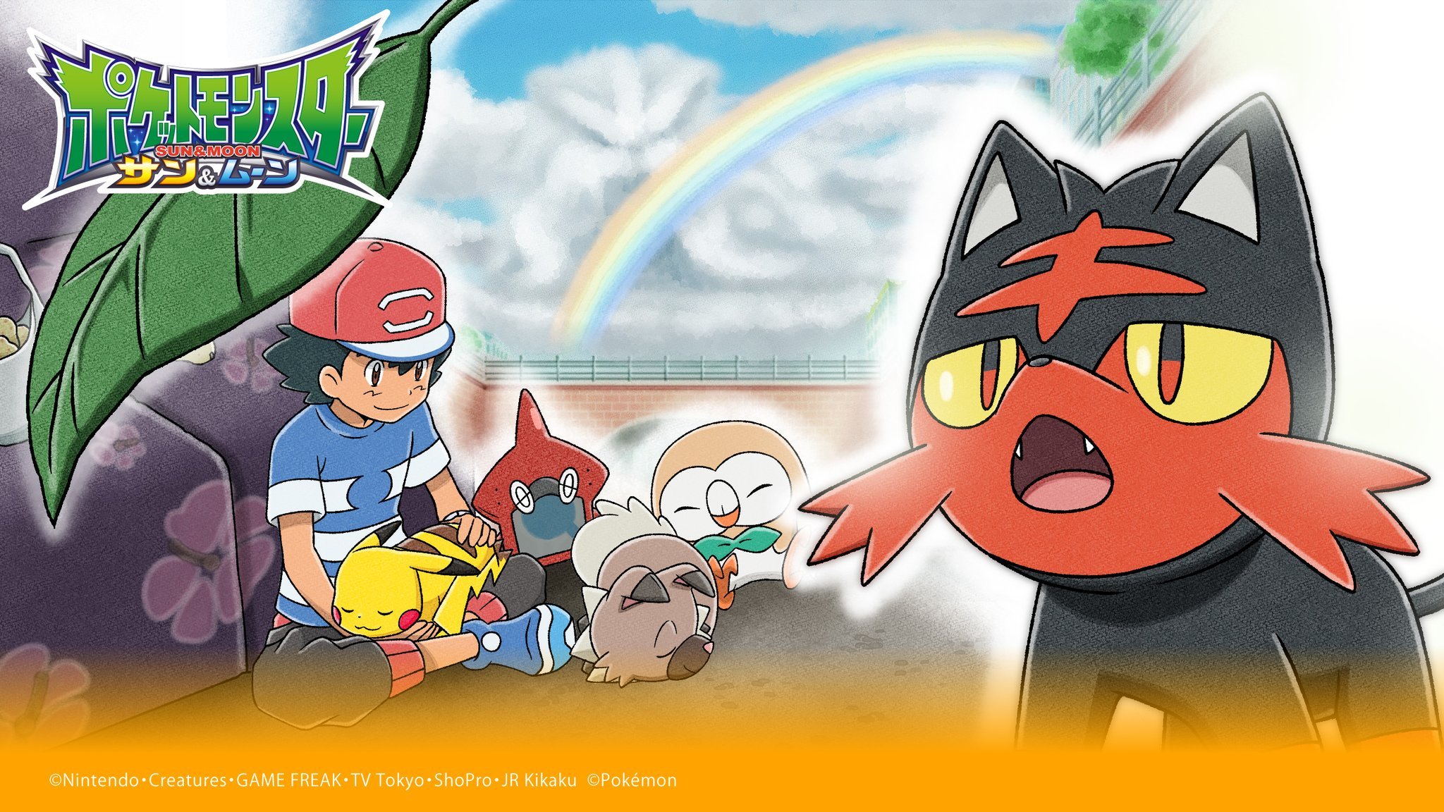 Litten Hd Wallpapers