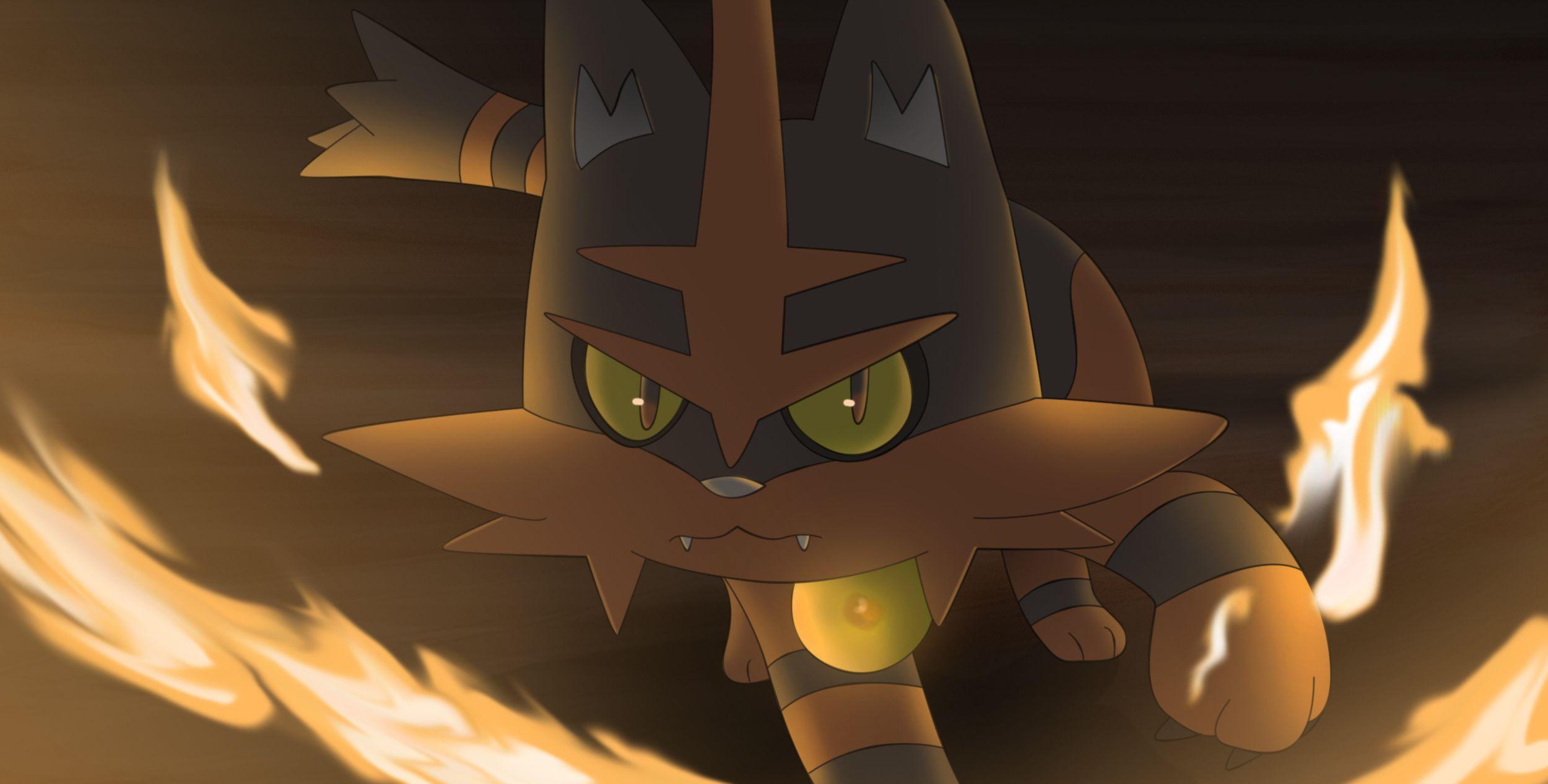 Litten Hd Wallpapers