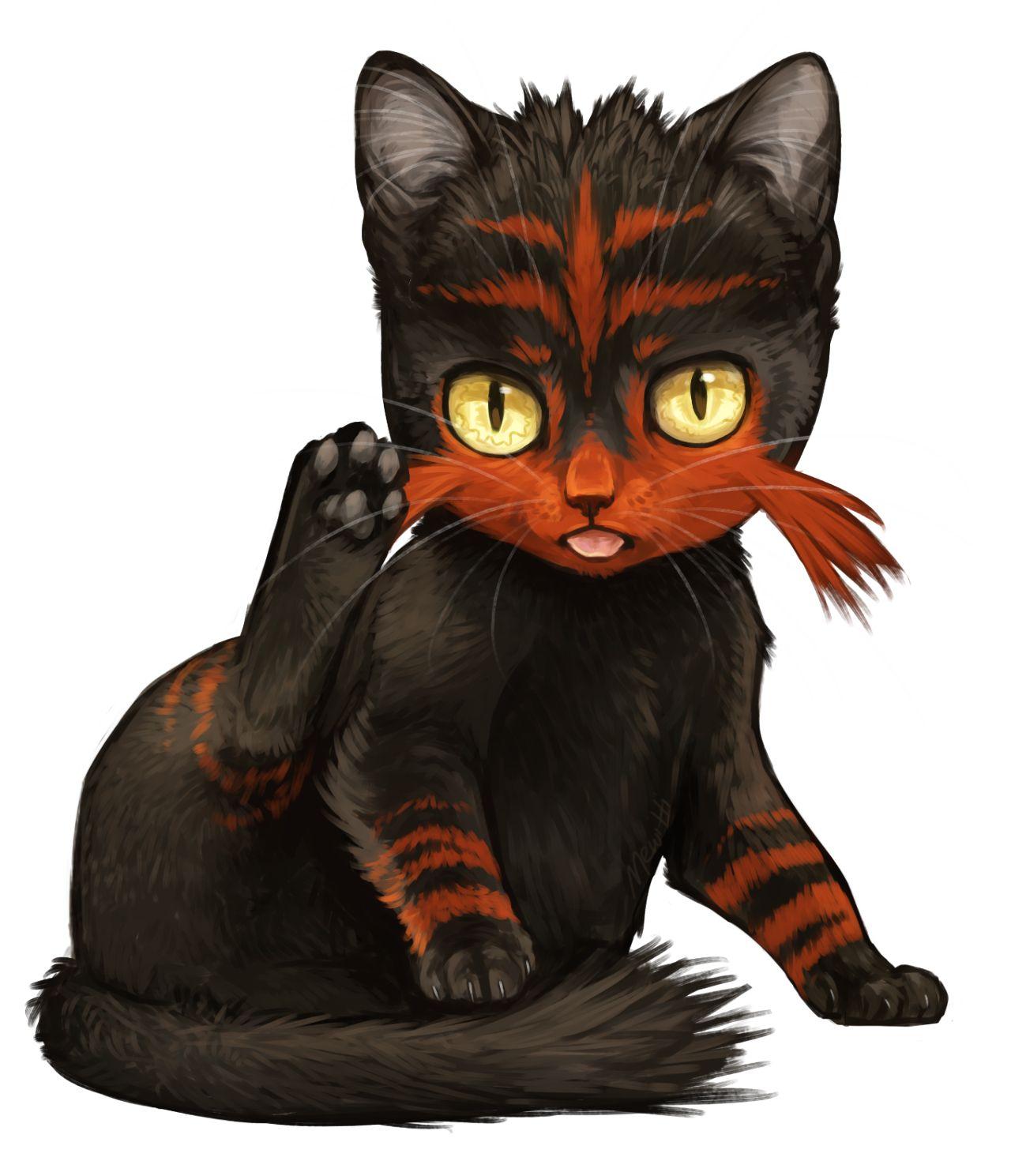 Litten Hd Wallpapers