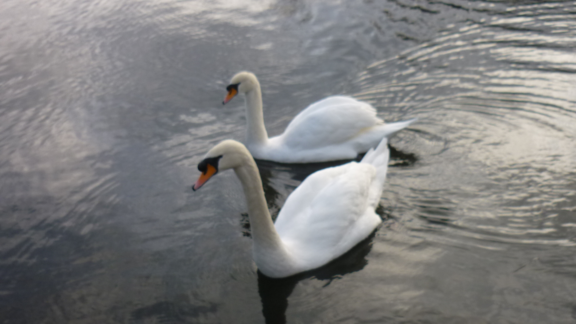 Little Britain Lake Wallpapers