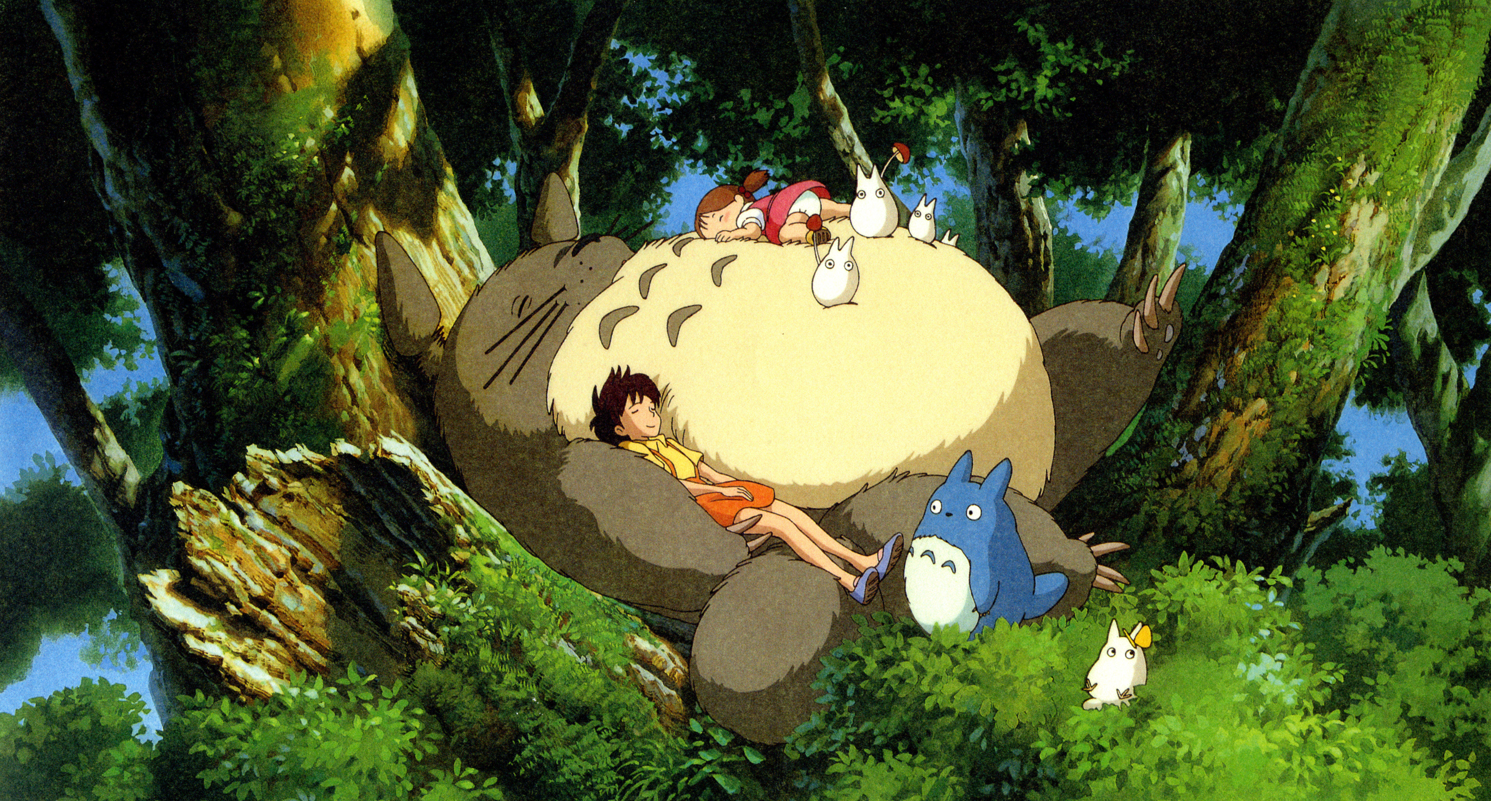 Little Totoro Wallpapers