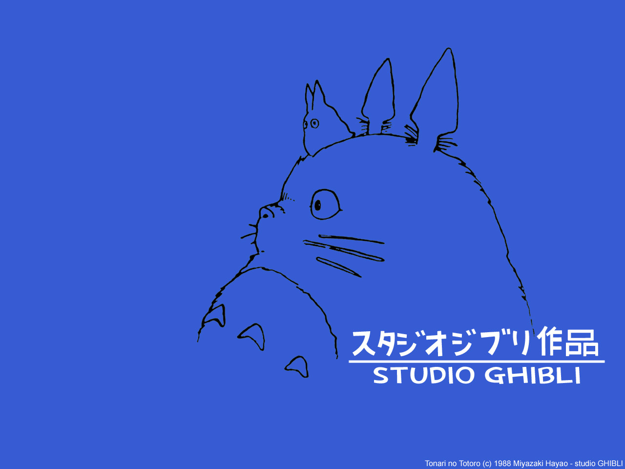 Little Totoro Wallpapers