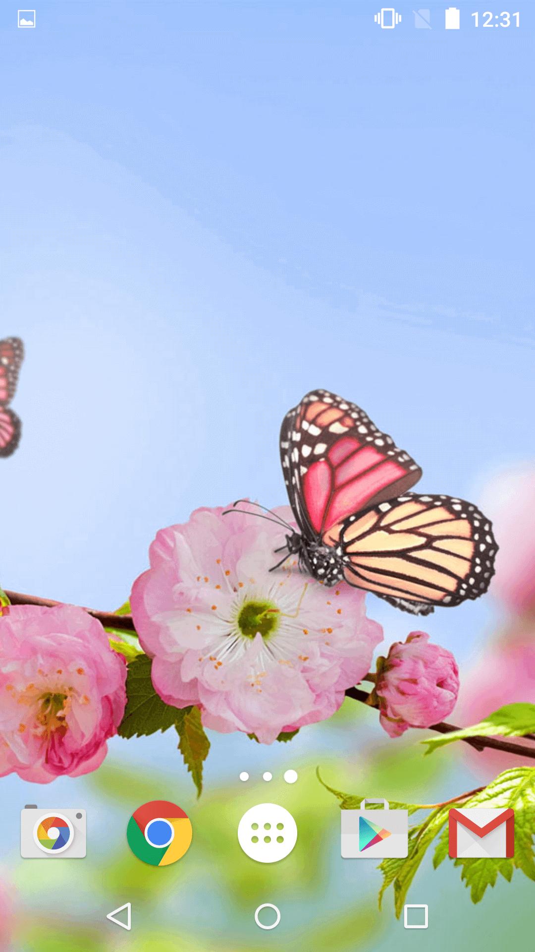 Live Butterfly Wallpapers
