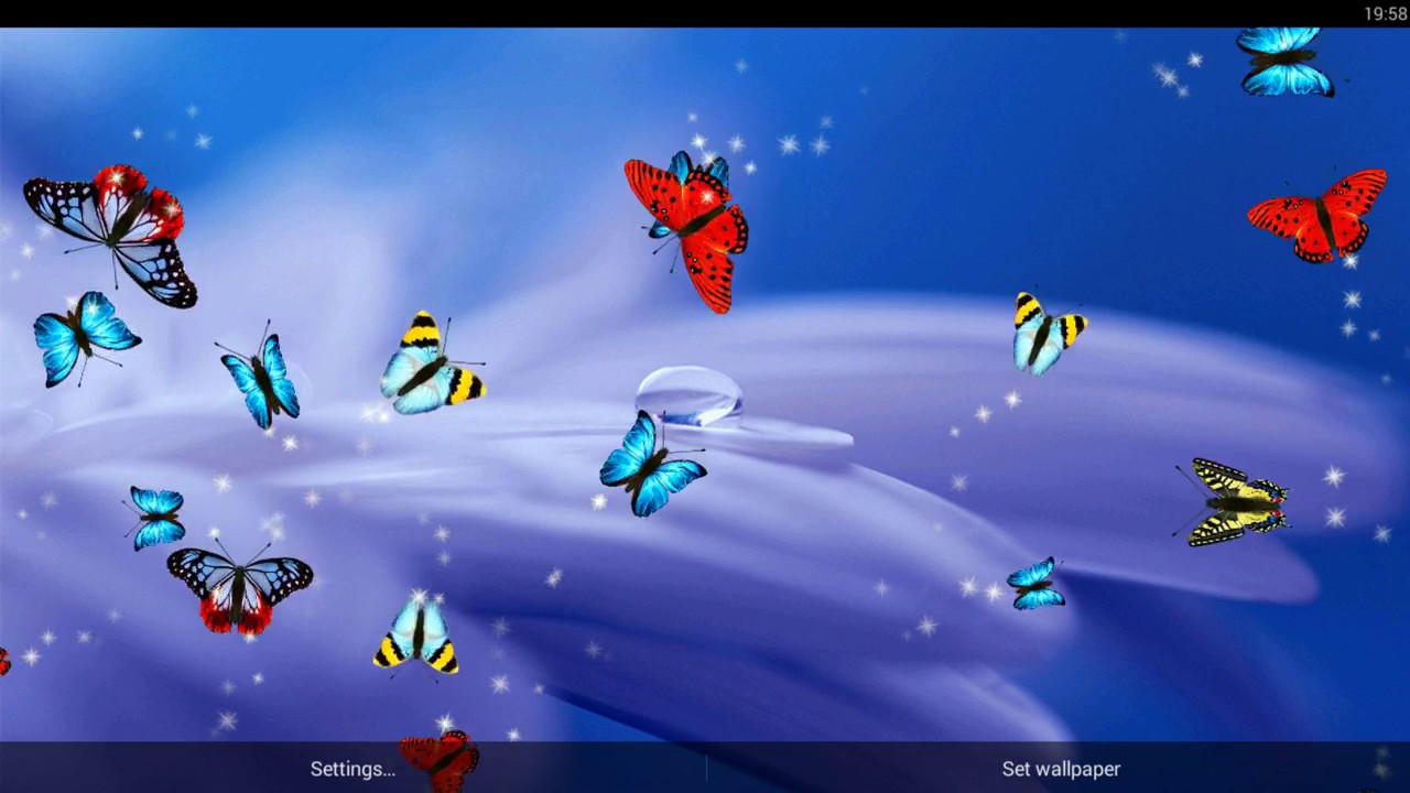 Live Butterfly Wallpapers