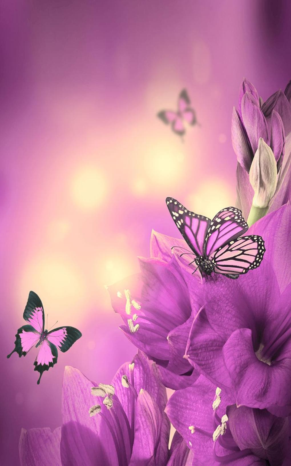 Live Butterfly Wallpapers