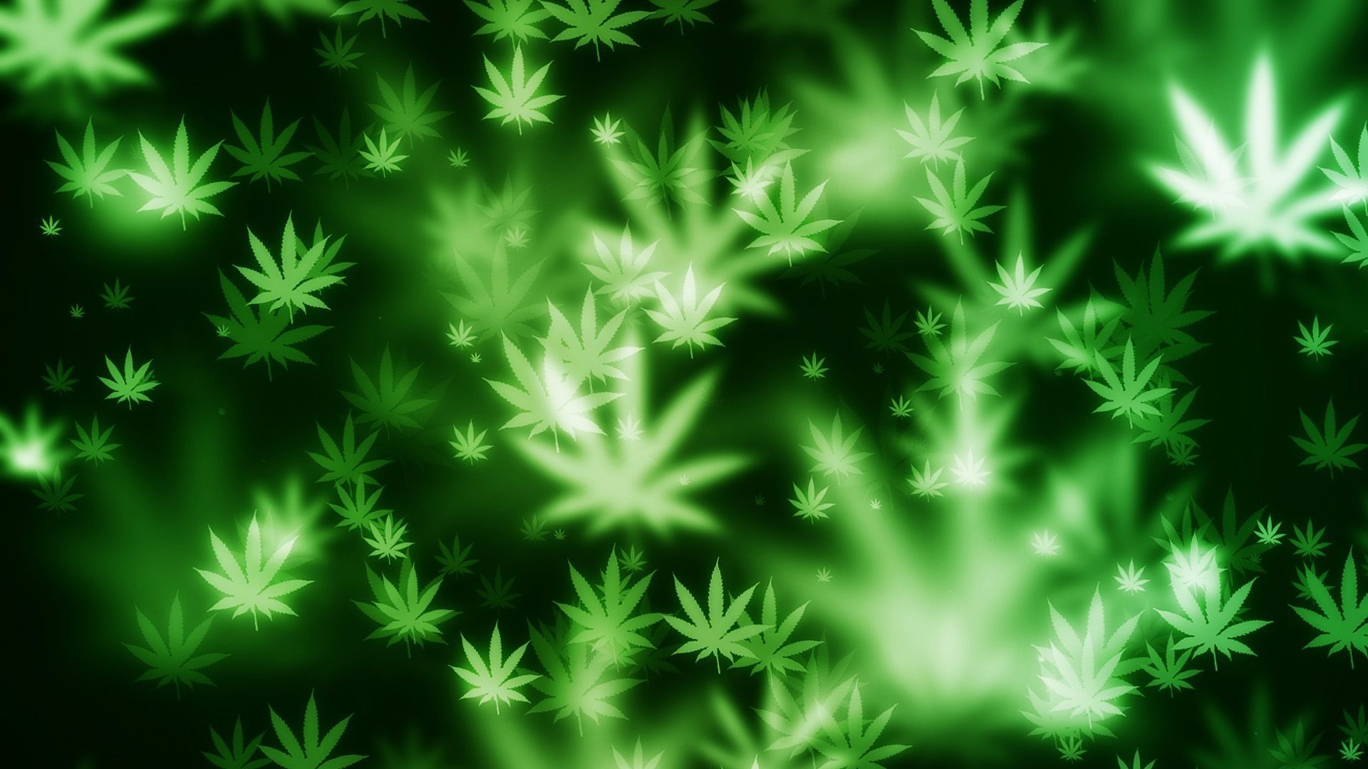 Live Weed Wallpapers