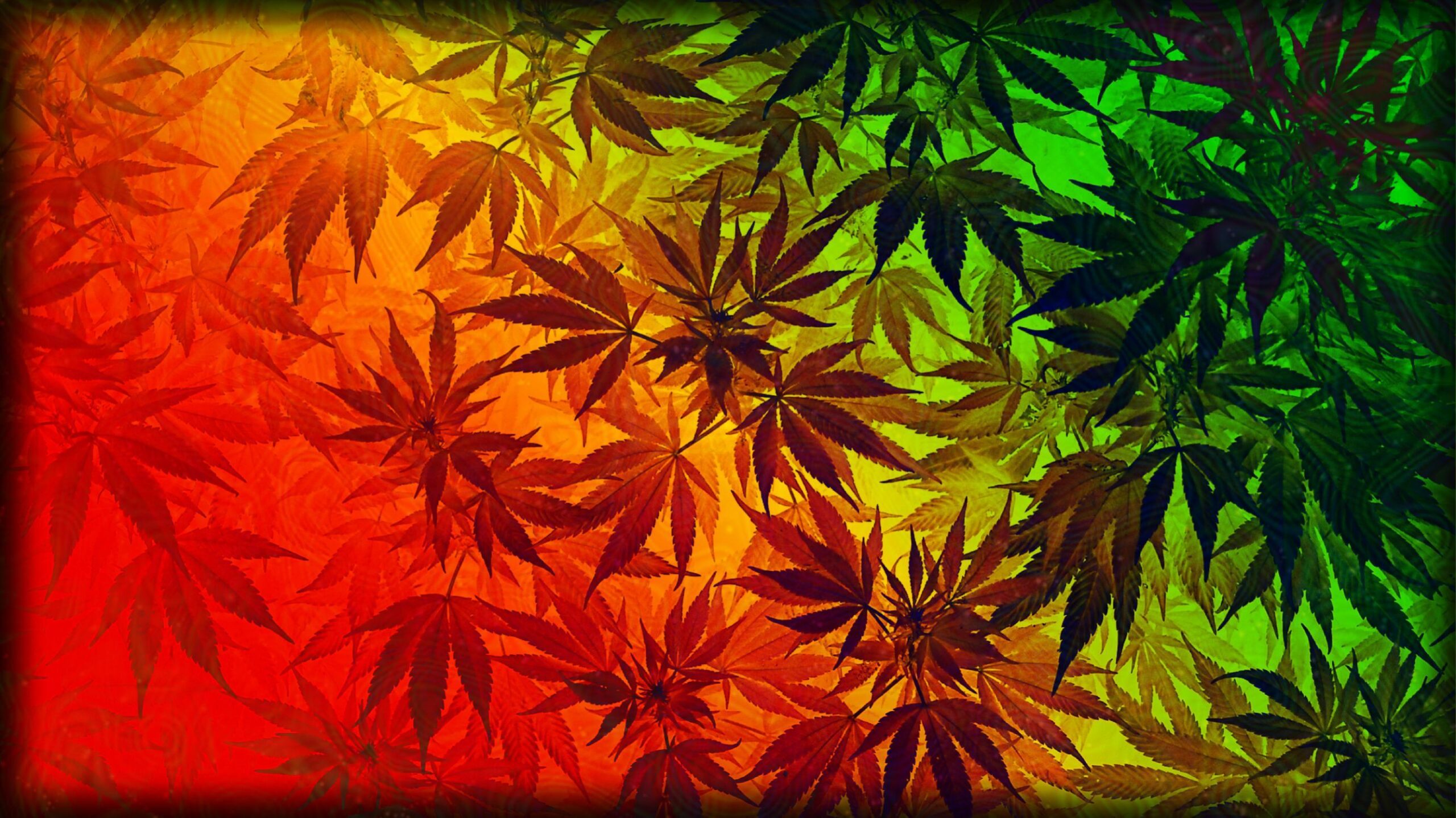 Live Weed Wallpapers