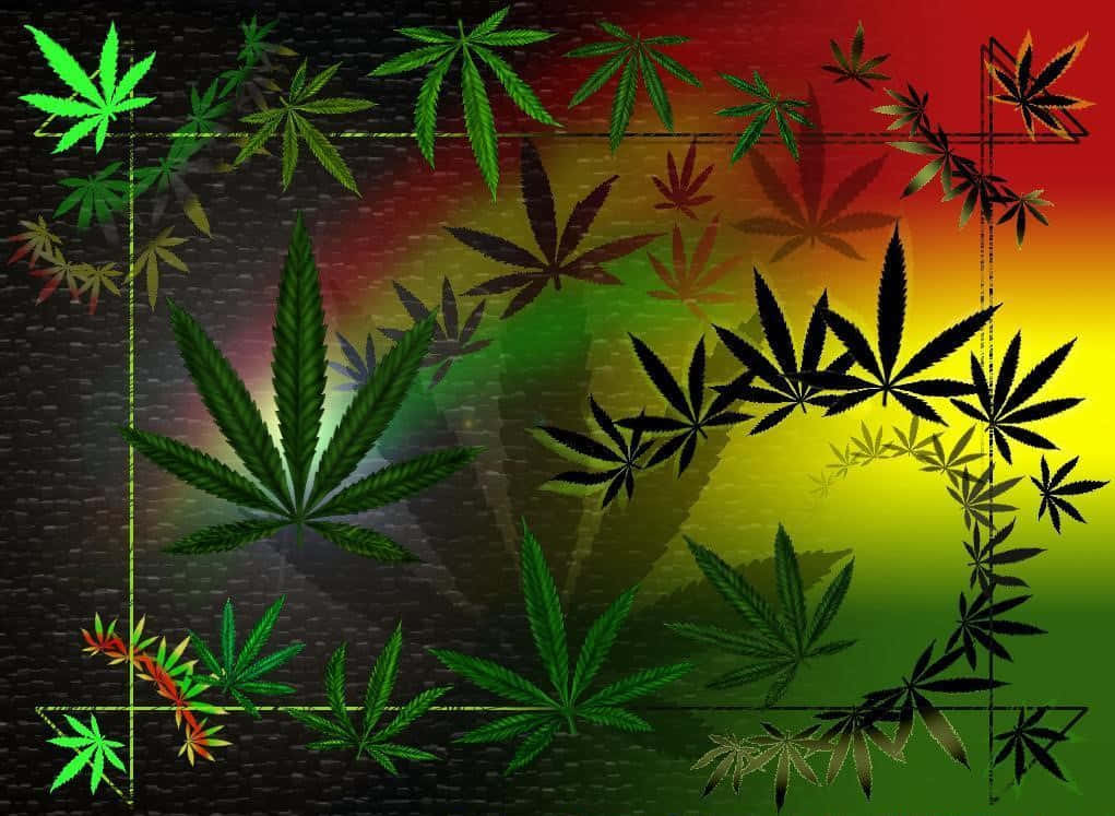 Live Weed Wallpapers