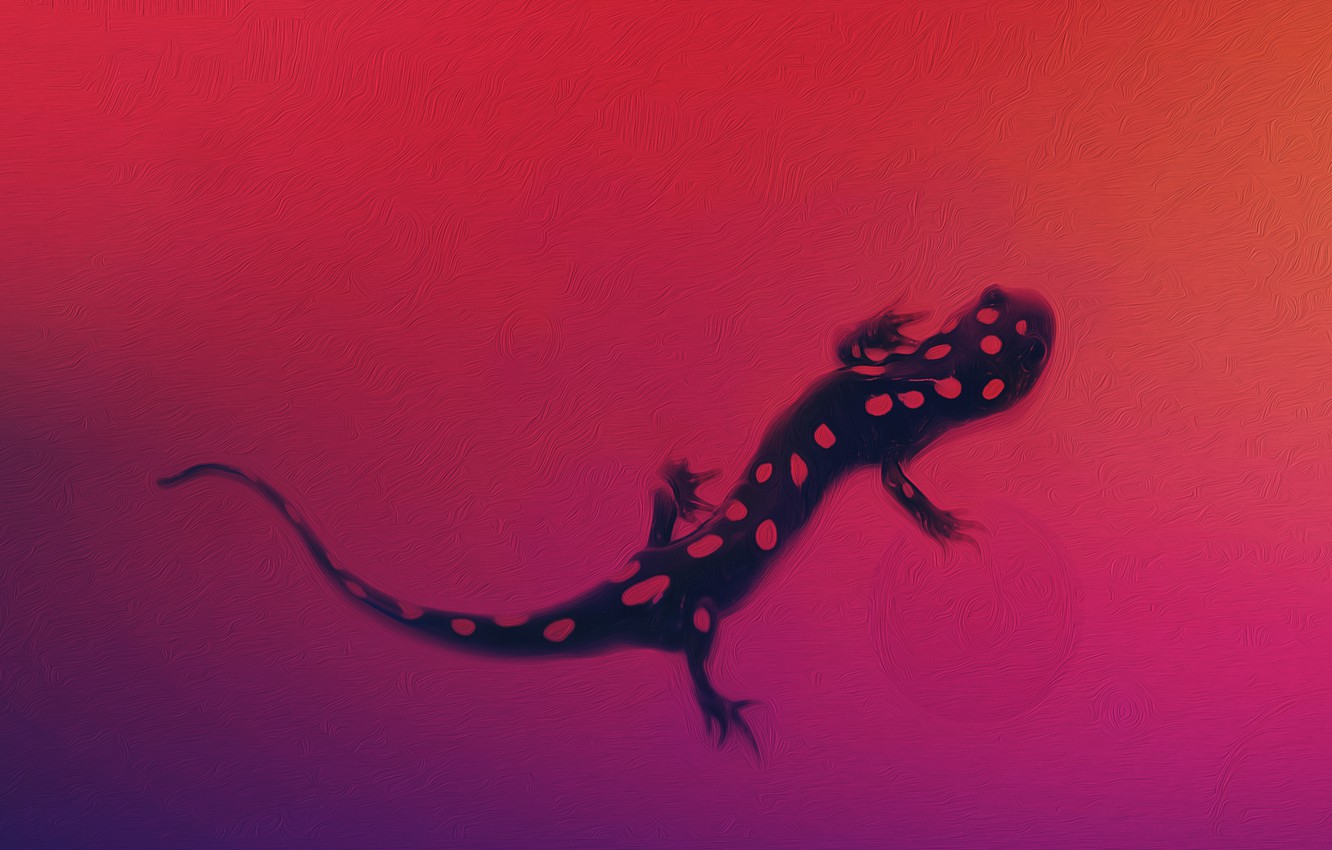 Lizzard Wallpapers