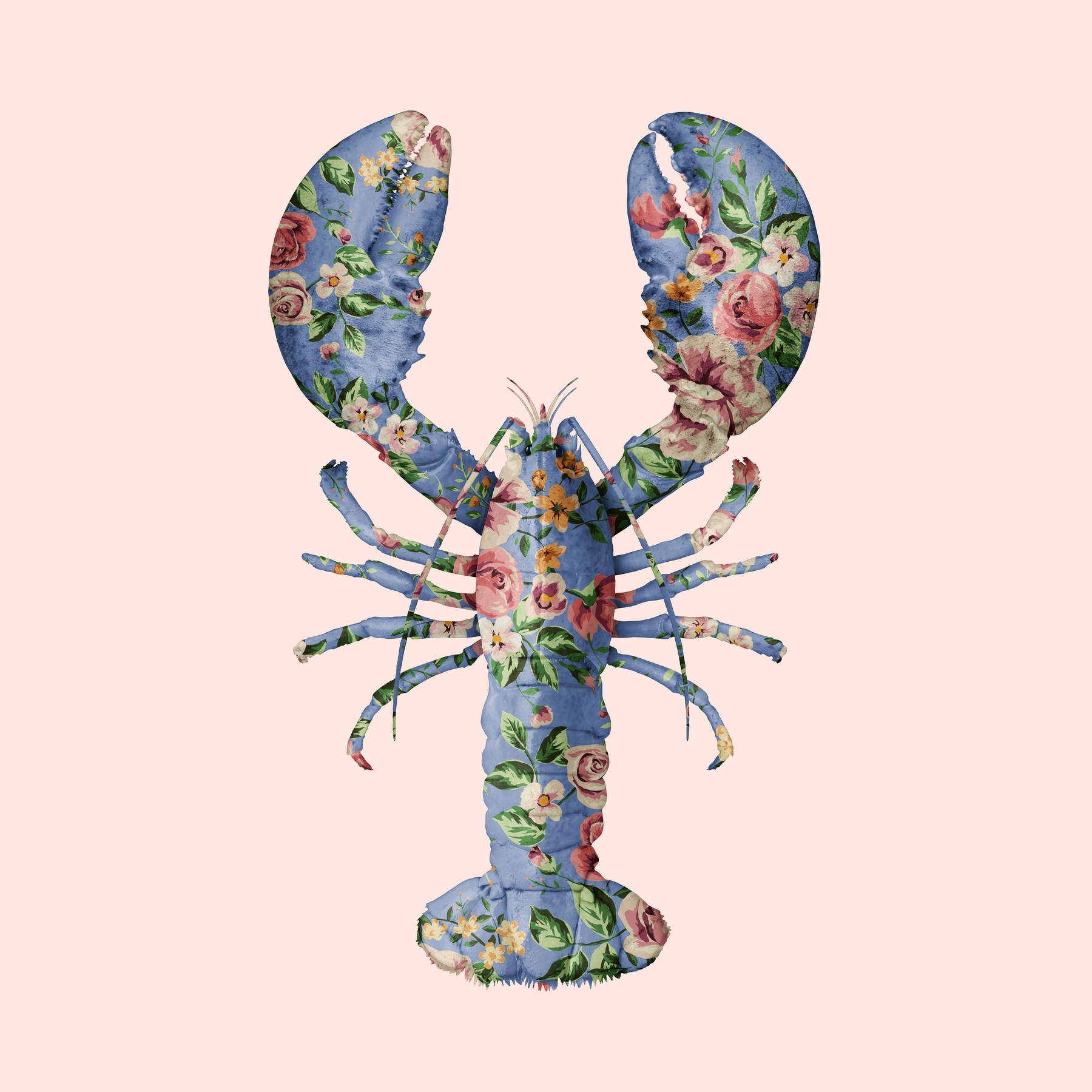 Lobster Wallpapers