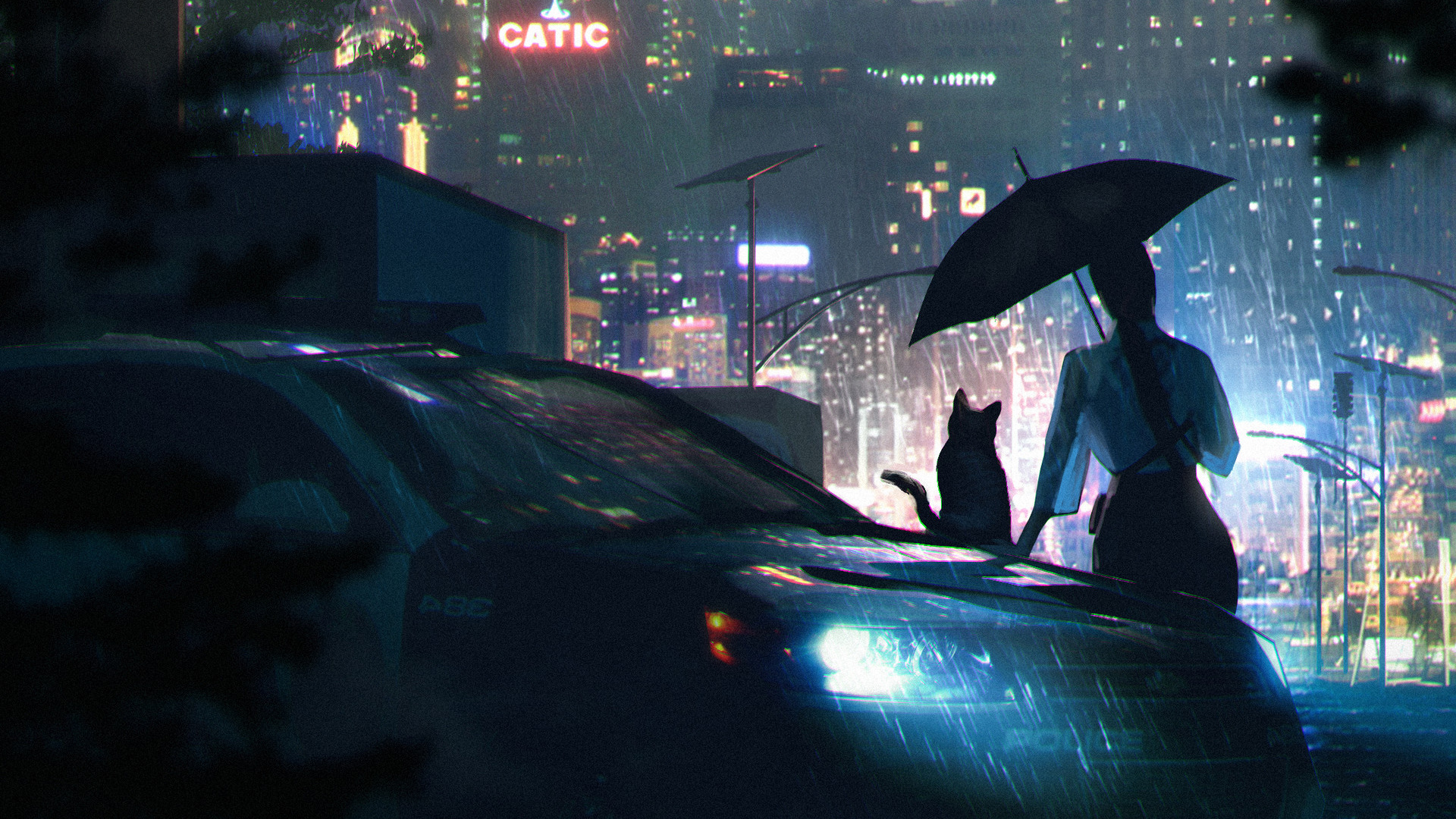 Lonely Cat In Rain 4K Wallpapers