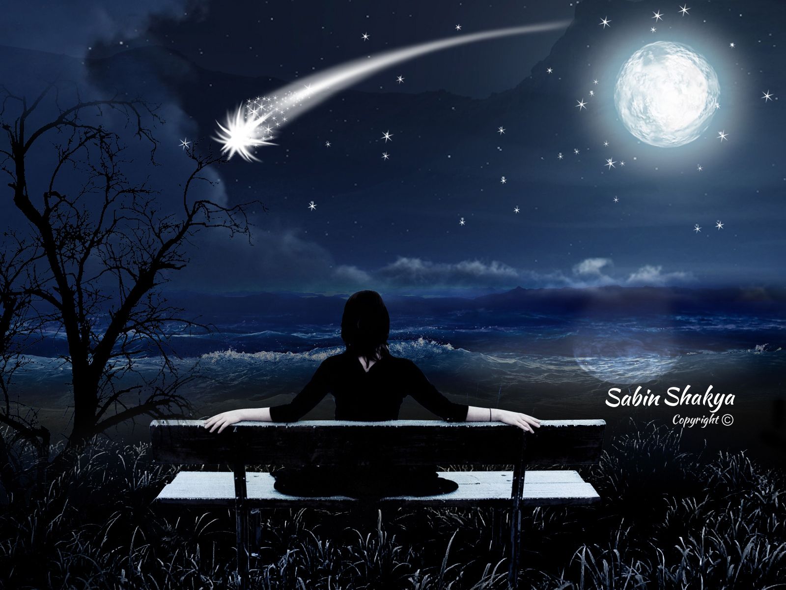 Lonely Girl Starring Shooting Star Wallpapers