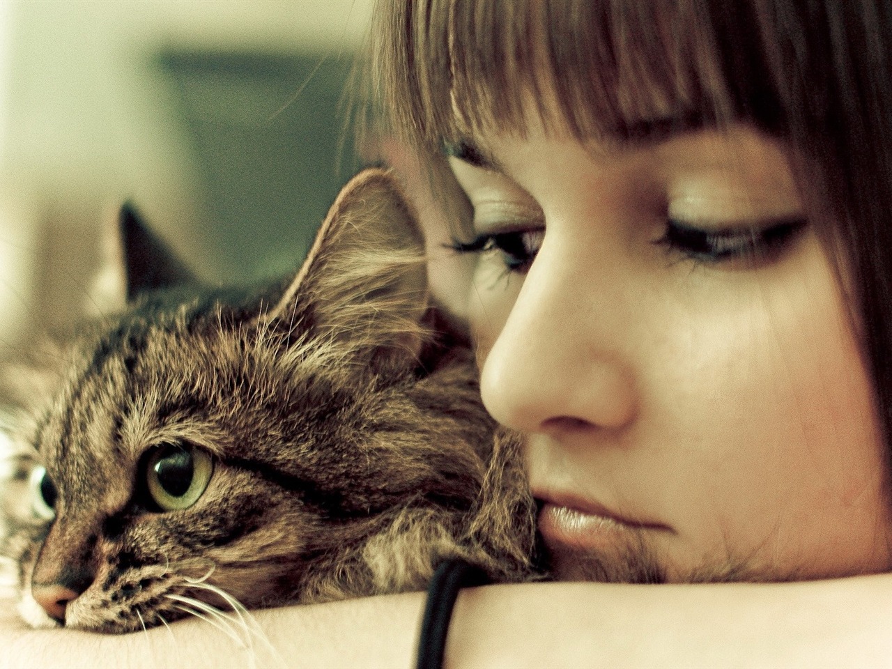 Lonely Girl With Cat Wallpapers