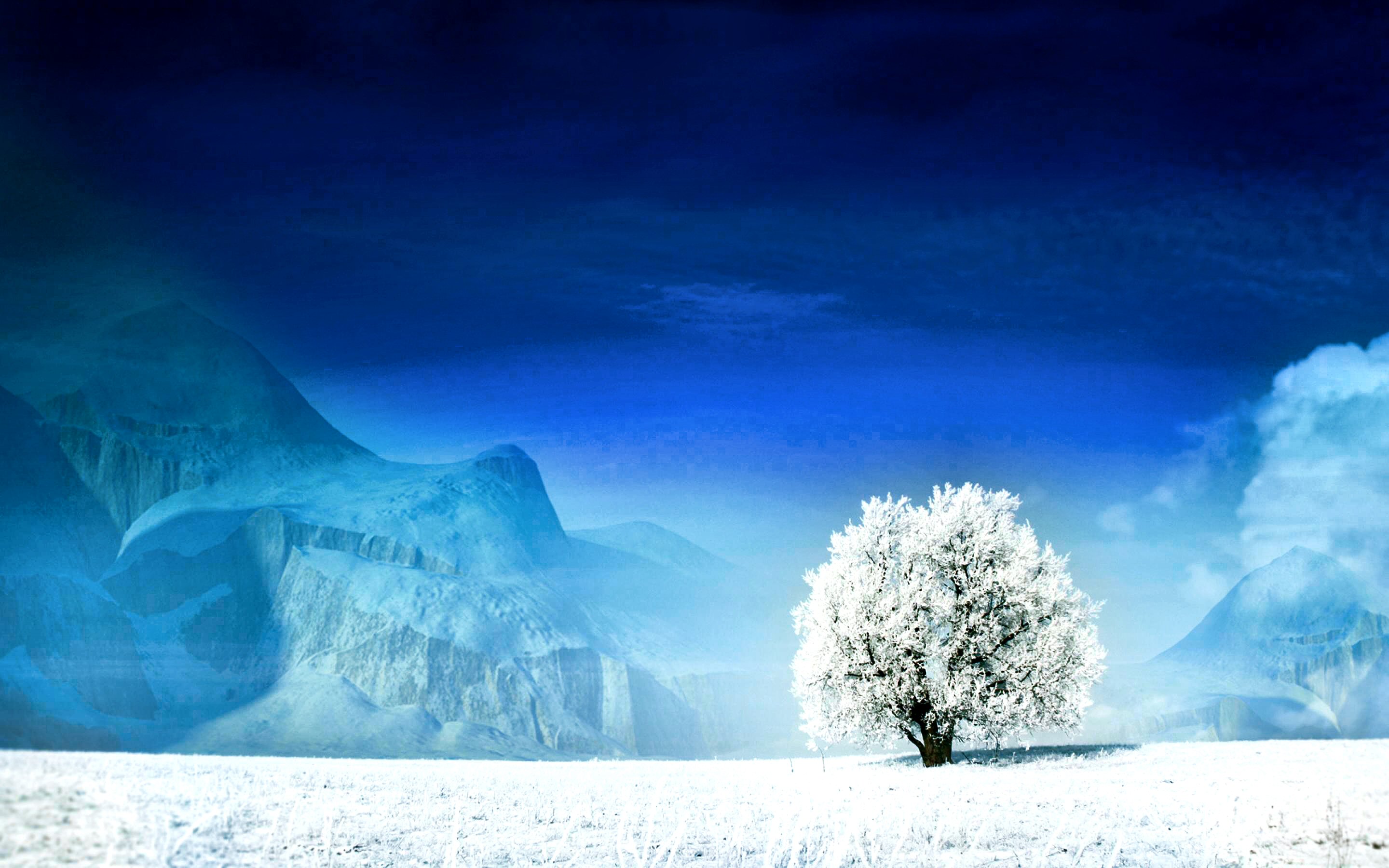 Lonely Tree In Snow Field Wallpapers