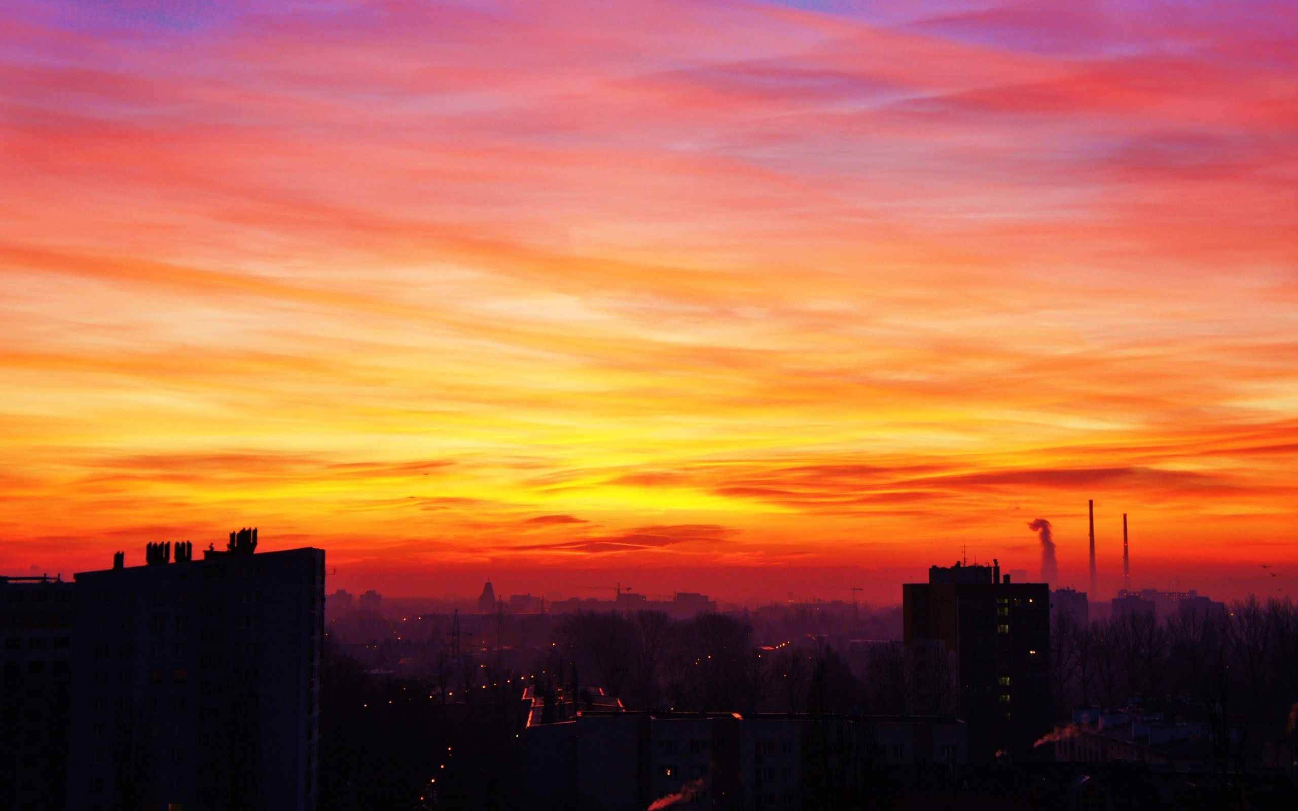 Lonely Tree Orange Sky Wallpapers