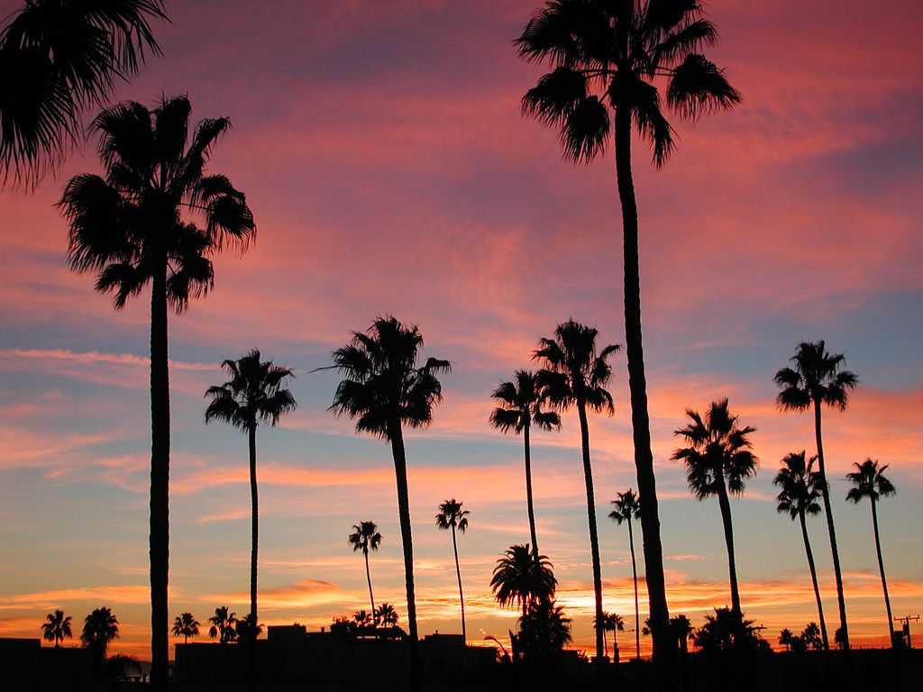 Long Beach Background