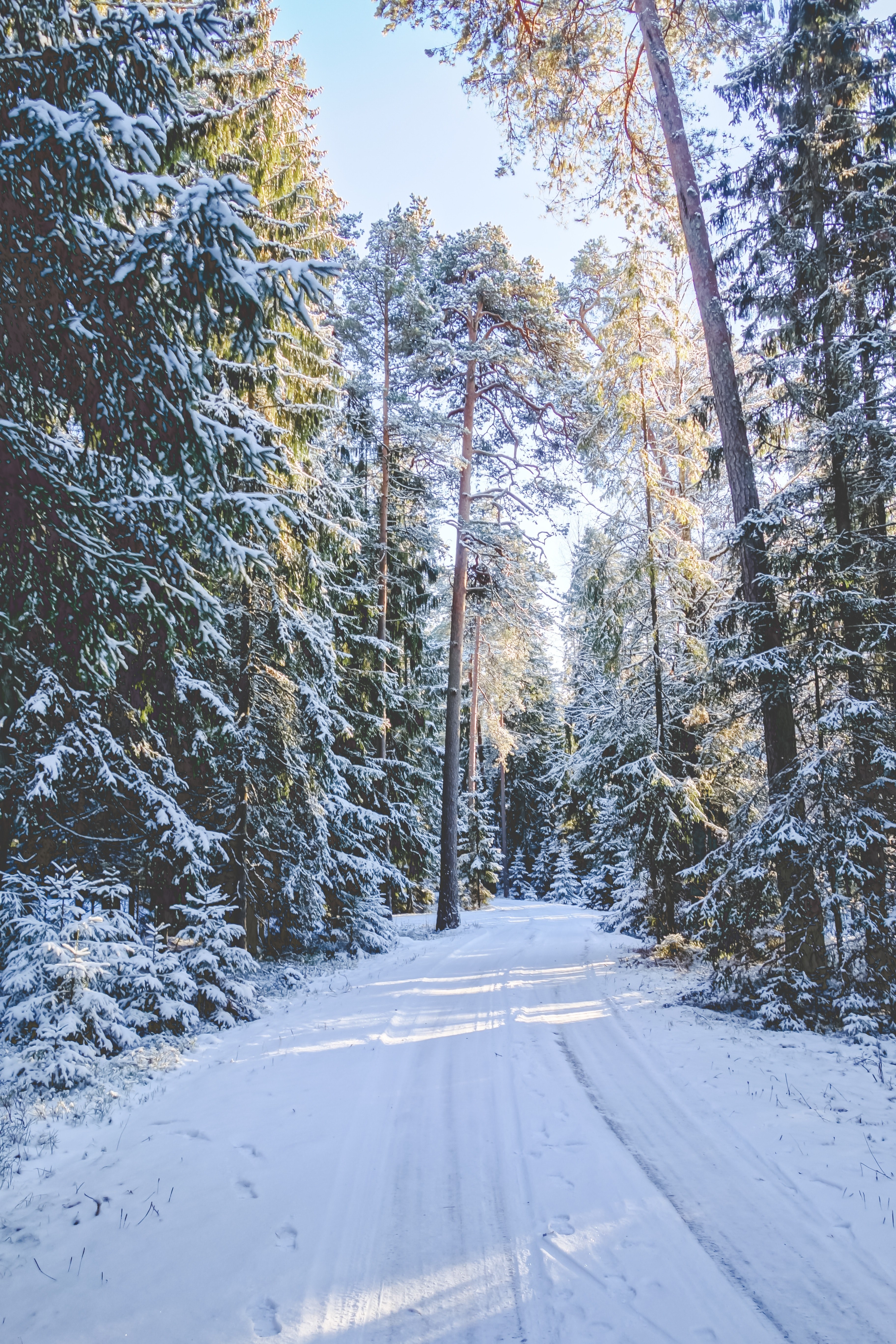 Long Exposure Snow Road Wallpapers