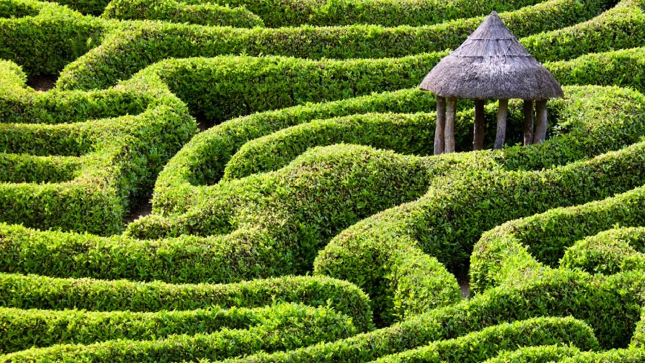 Longleat Maze Wallpapers