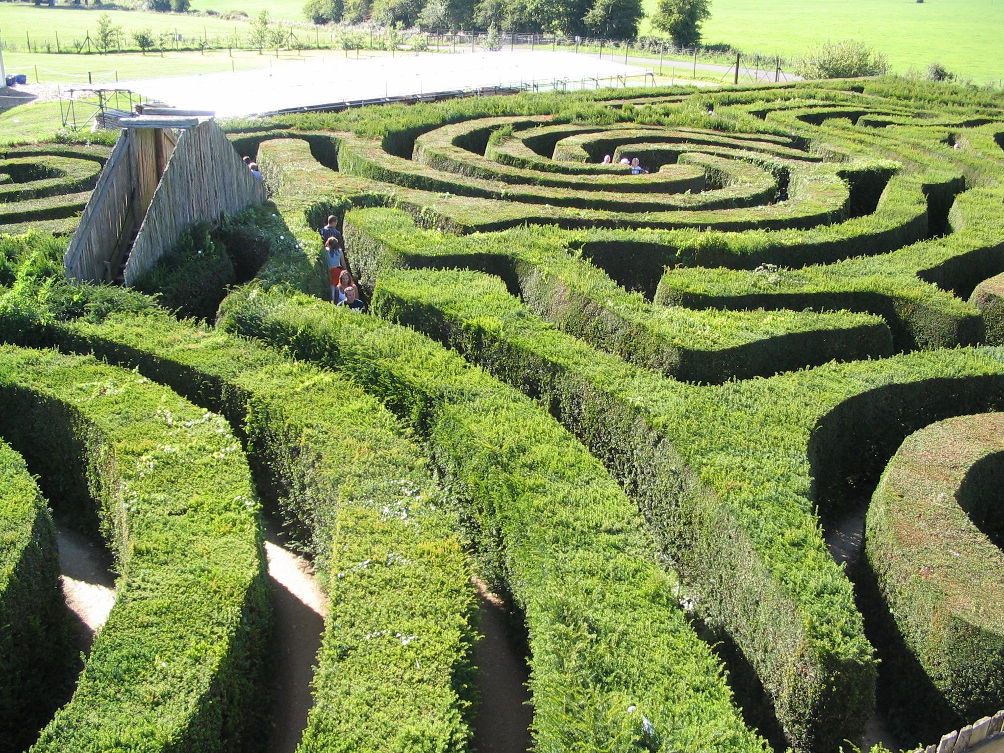 Longleat Maze Wallpapers