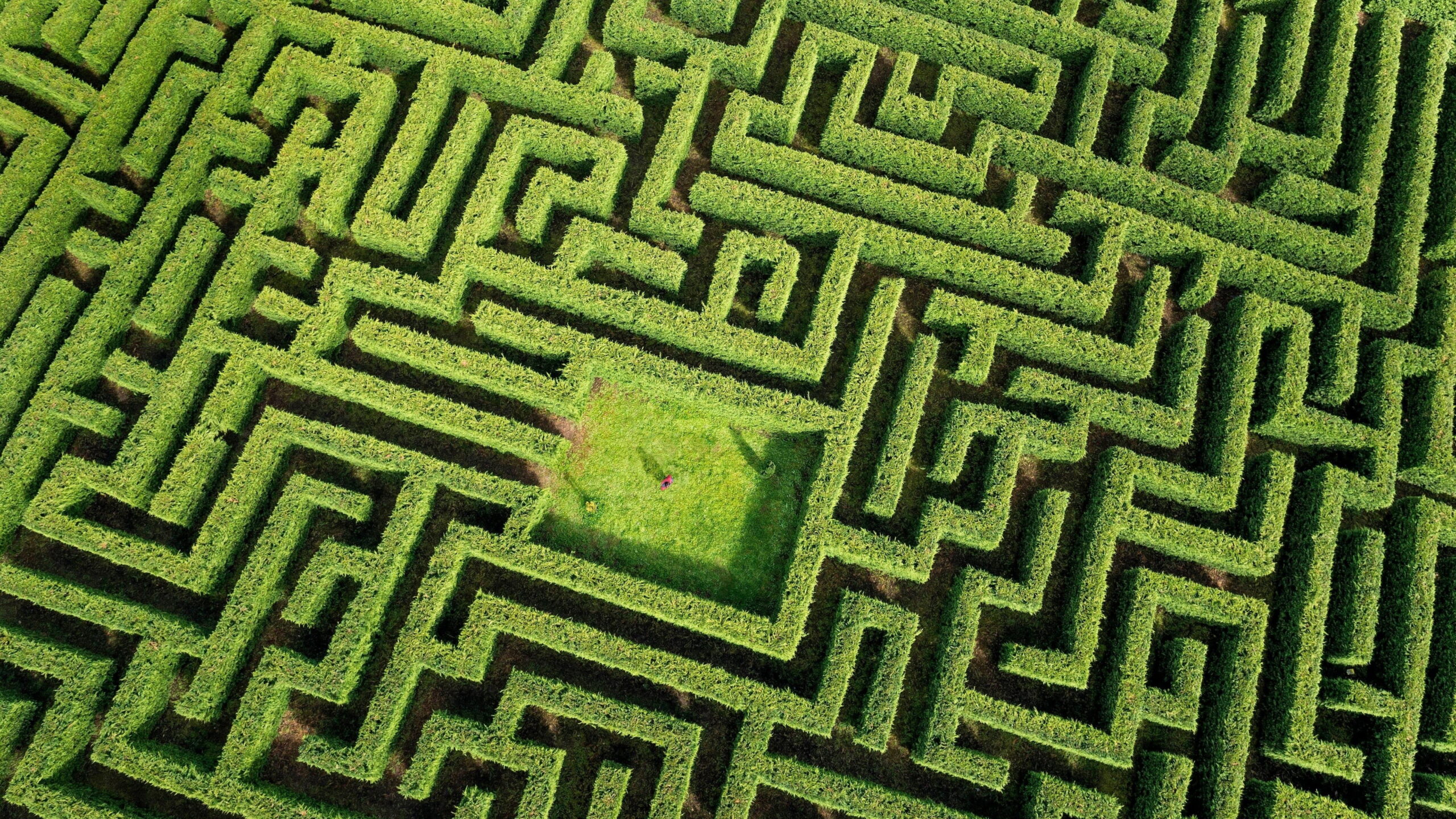 Longleat Maze Wallpapers