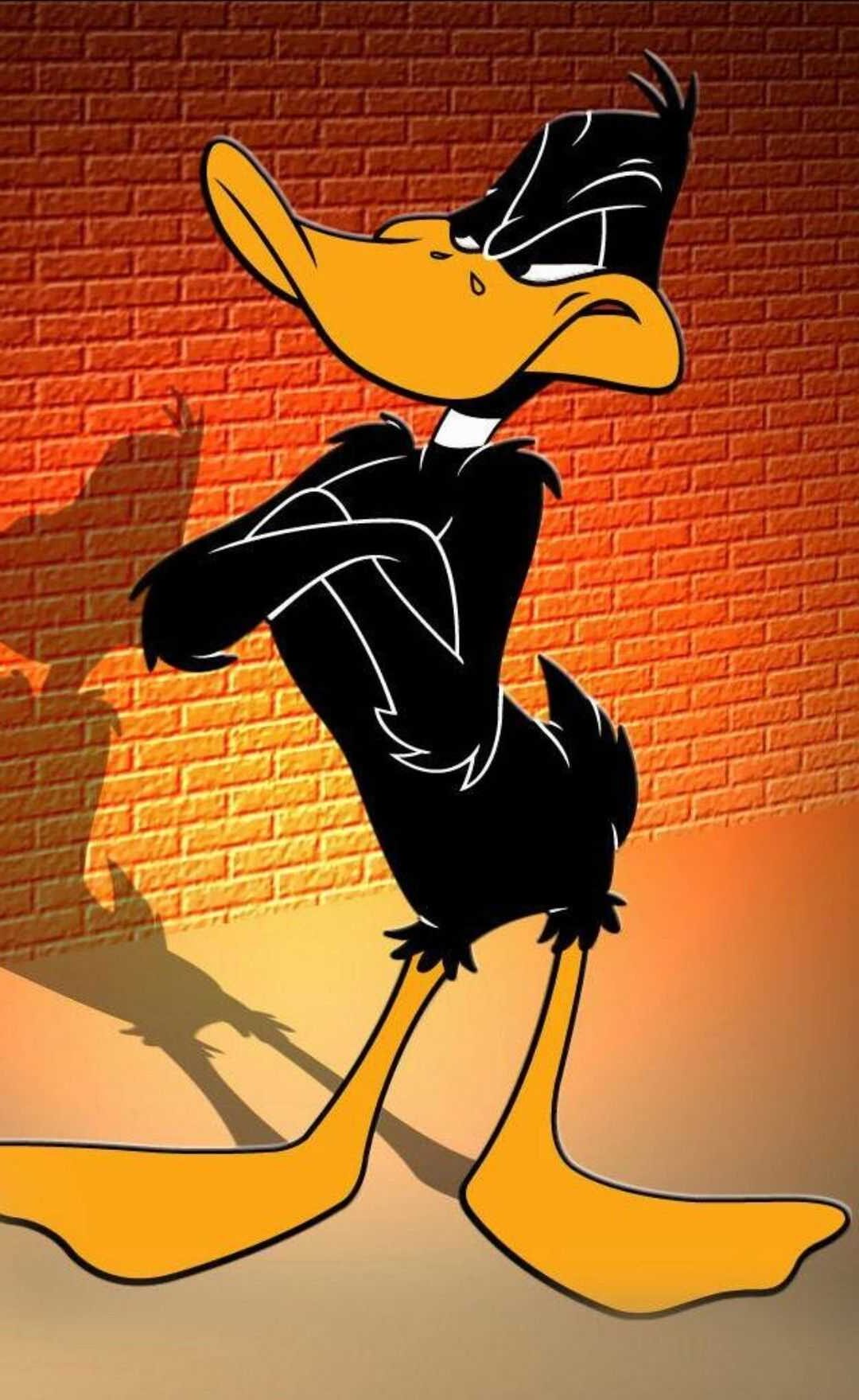 Looney Tunes Iphone Wallpapers