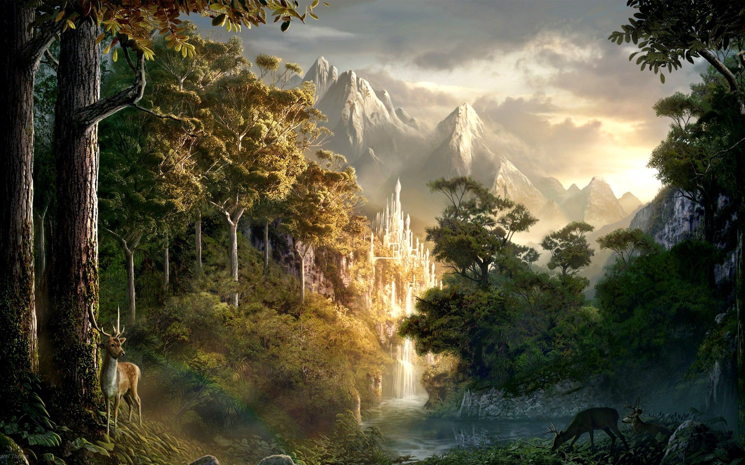 Lord Of The Rings Lothlorien Wallpapers